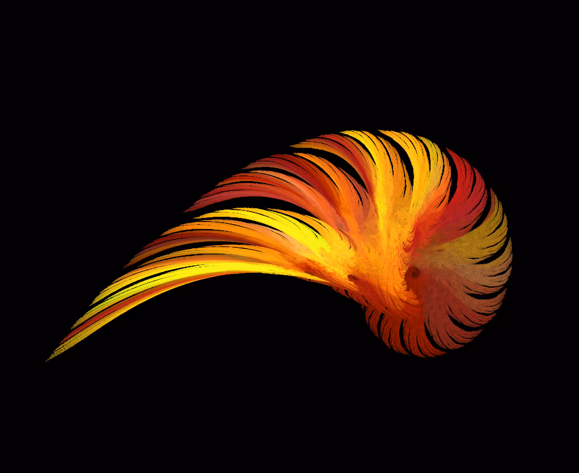 Raw Fractal Series - #062 - Nautilus