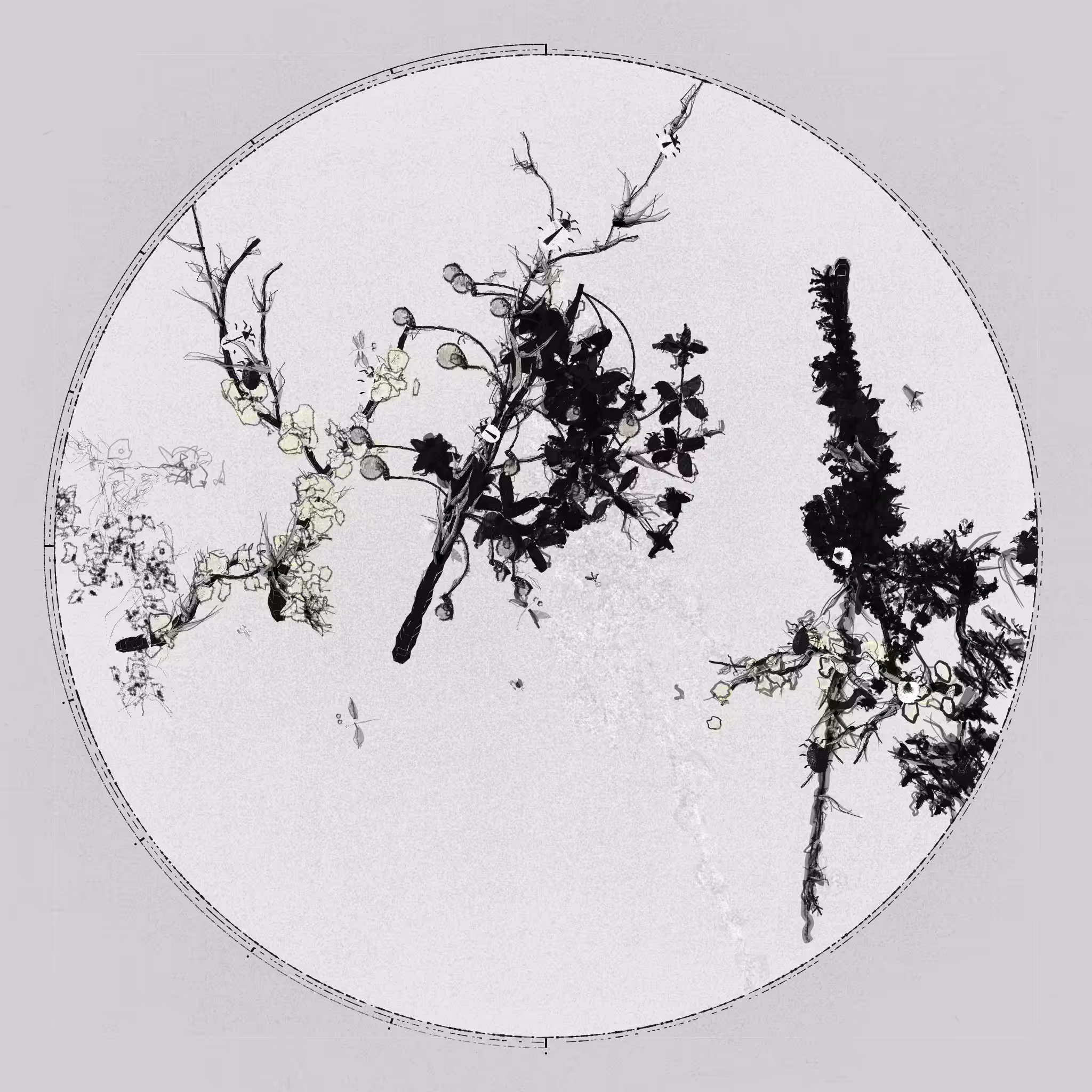 Polypaths | 植徑集 #56