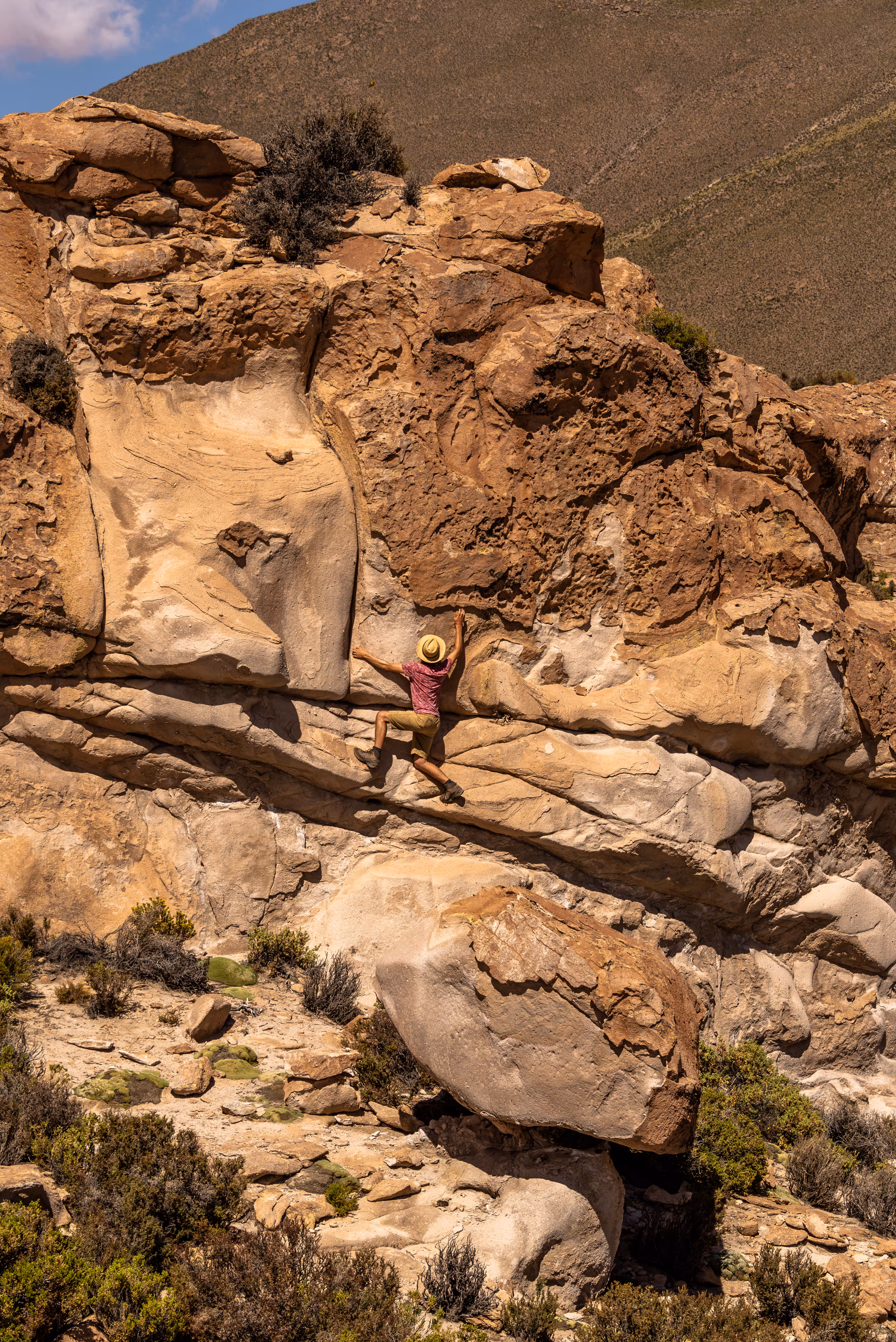 Free Solo