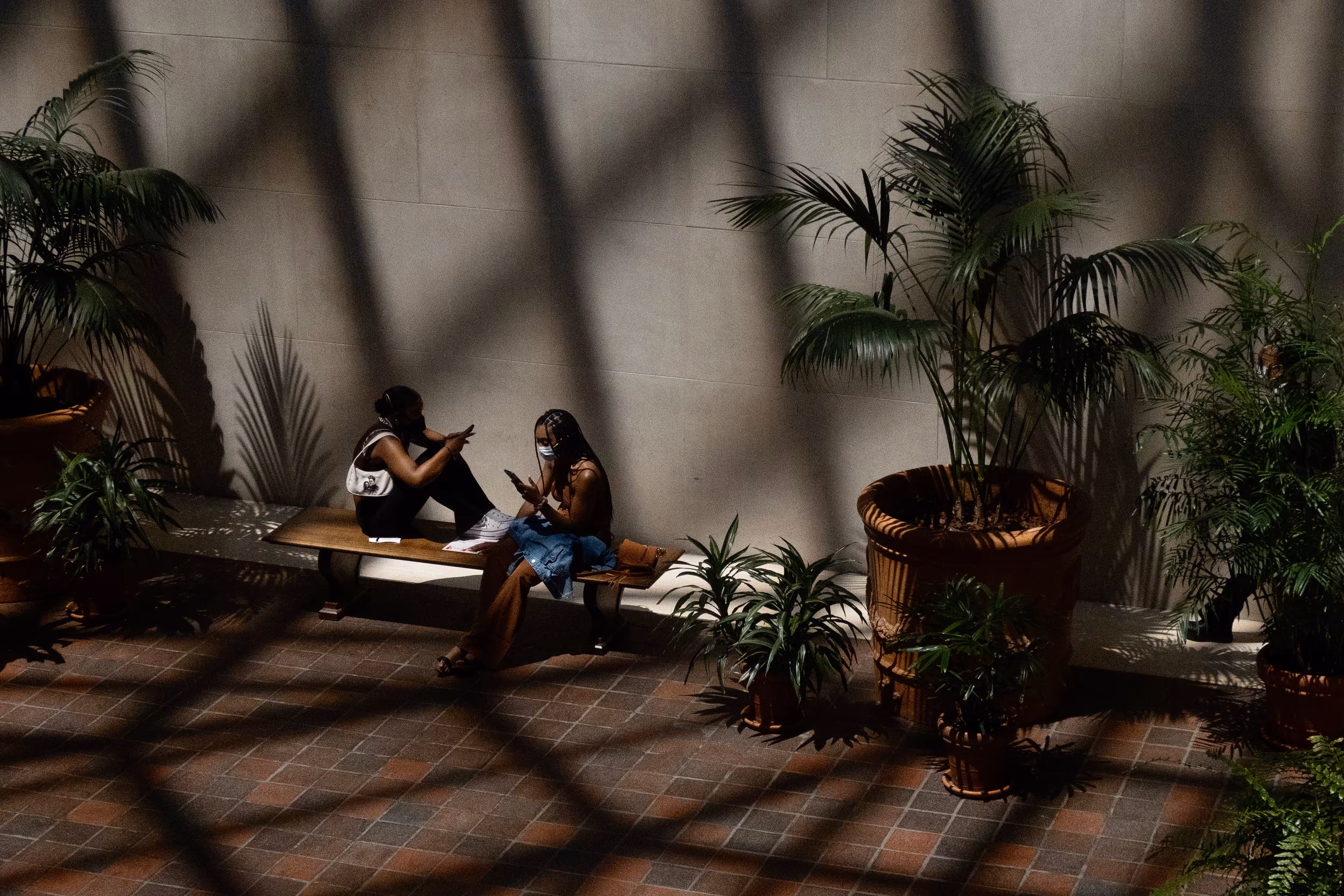 Return to Museums