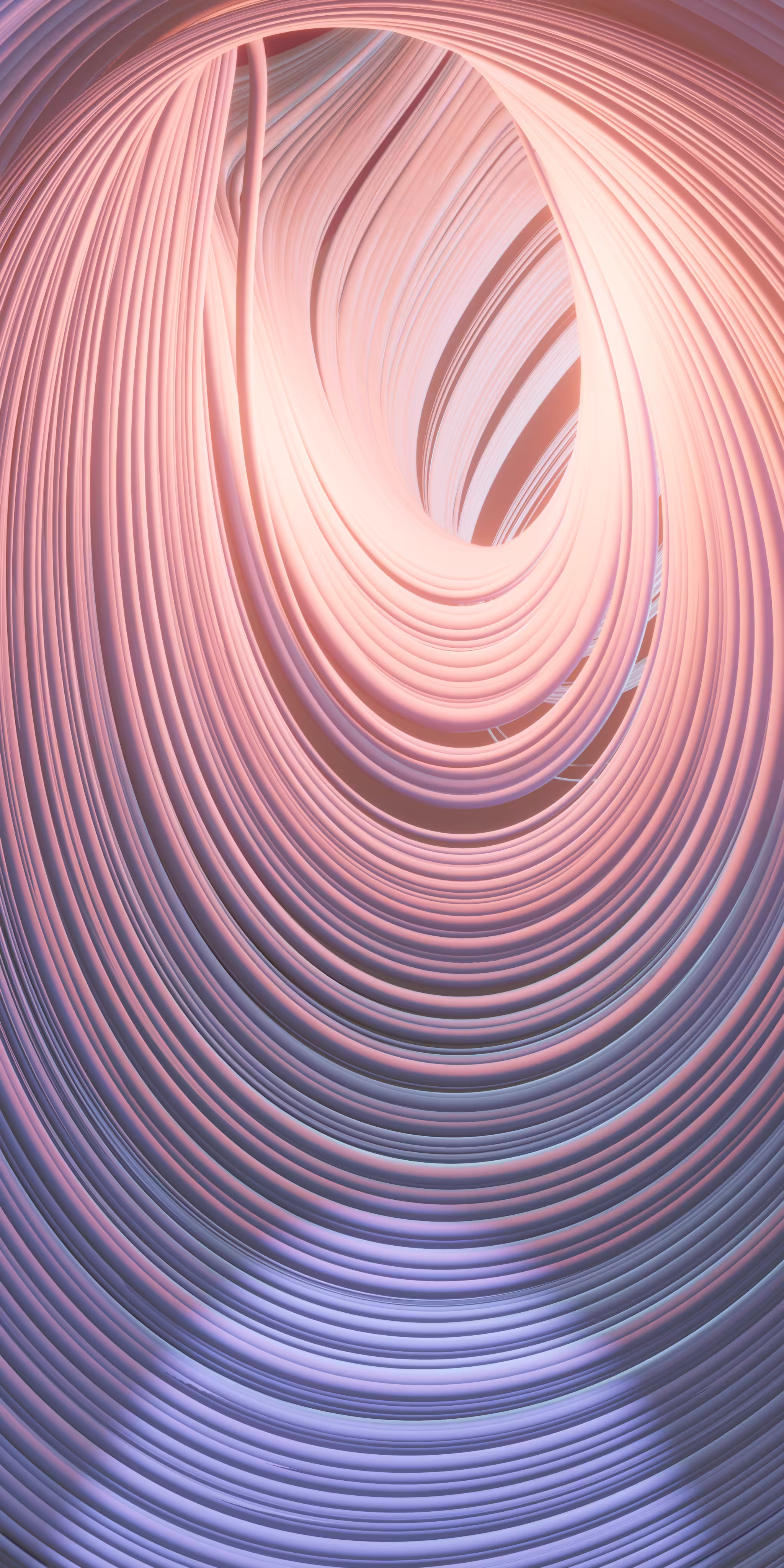 Portrait TSUCS 2 Attractor 