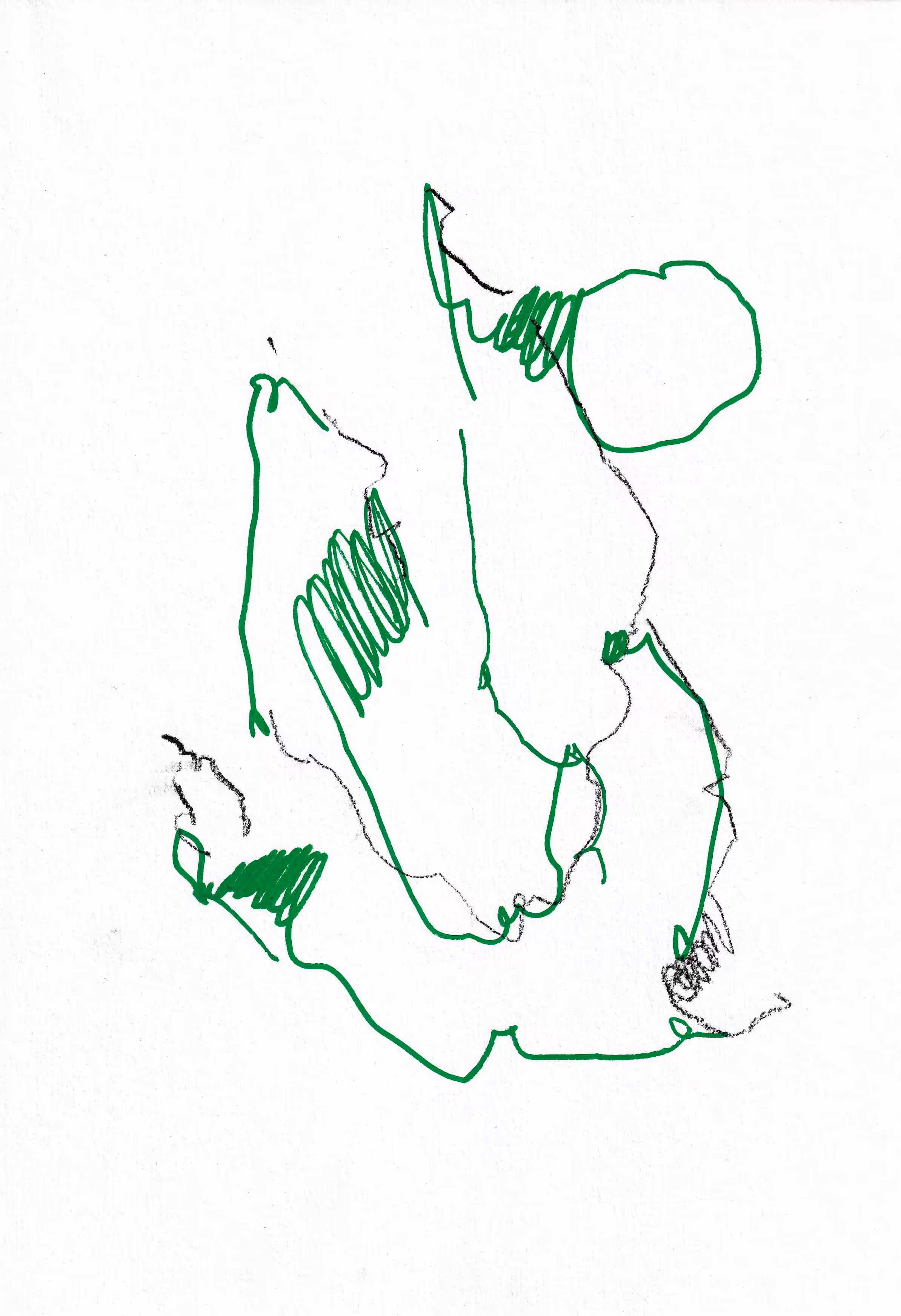 Sp101220223