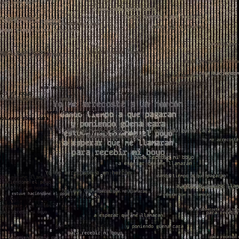 A hacker in the Pampas #91