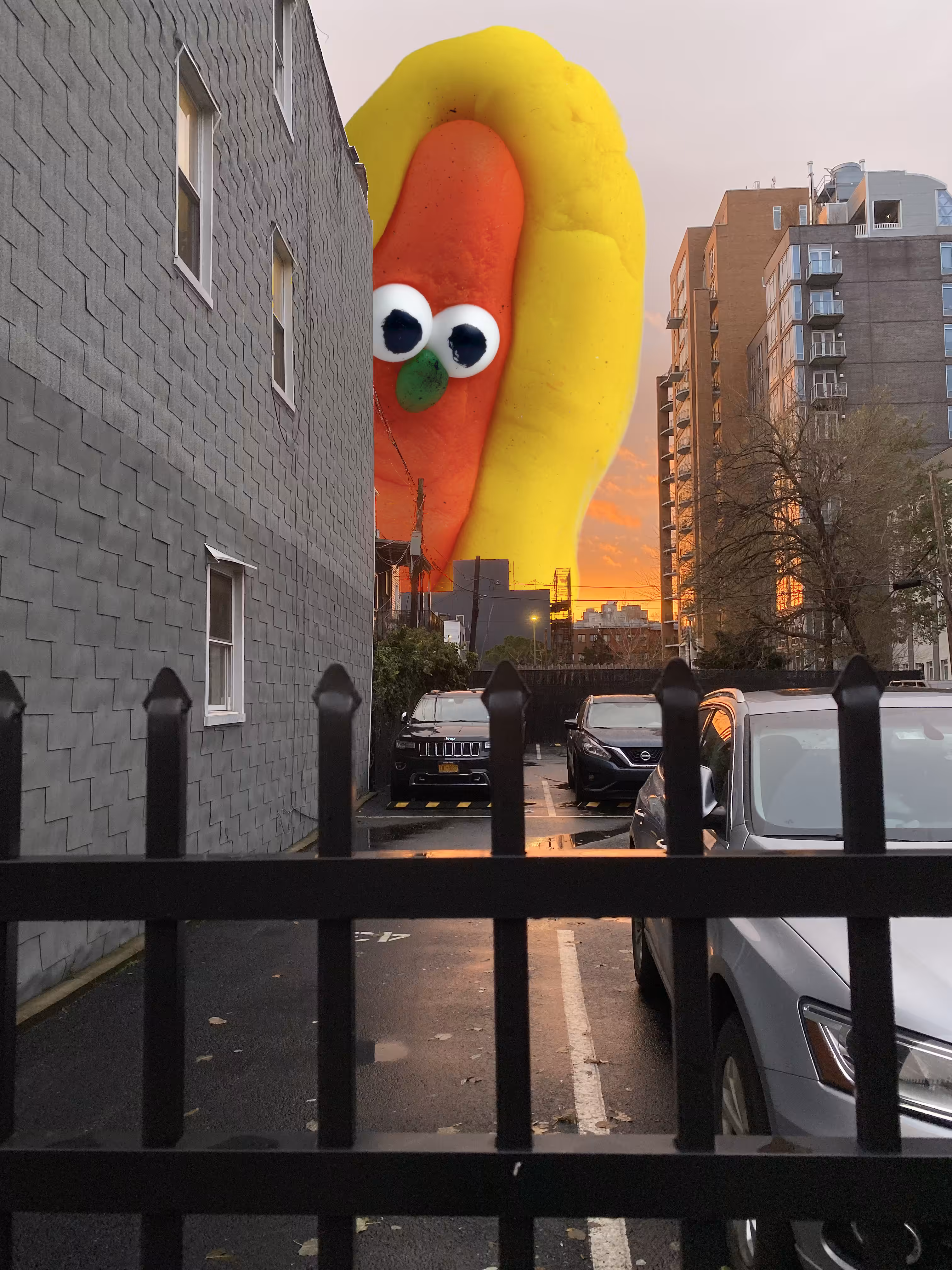 Hotdog in Williamsburg