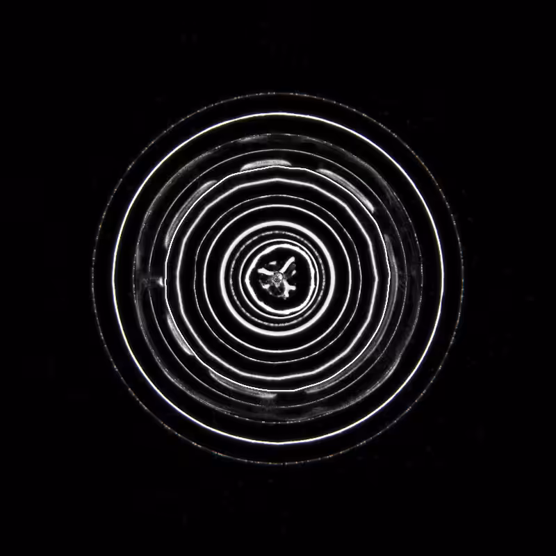 Ethereal Microcosm #82