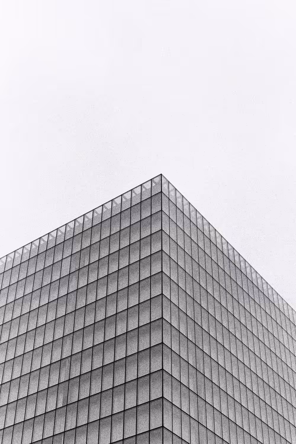 THE_LIBRARY_OBSERVER