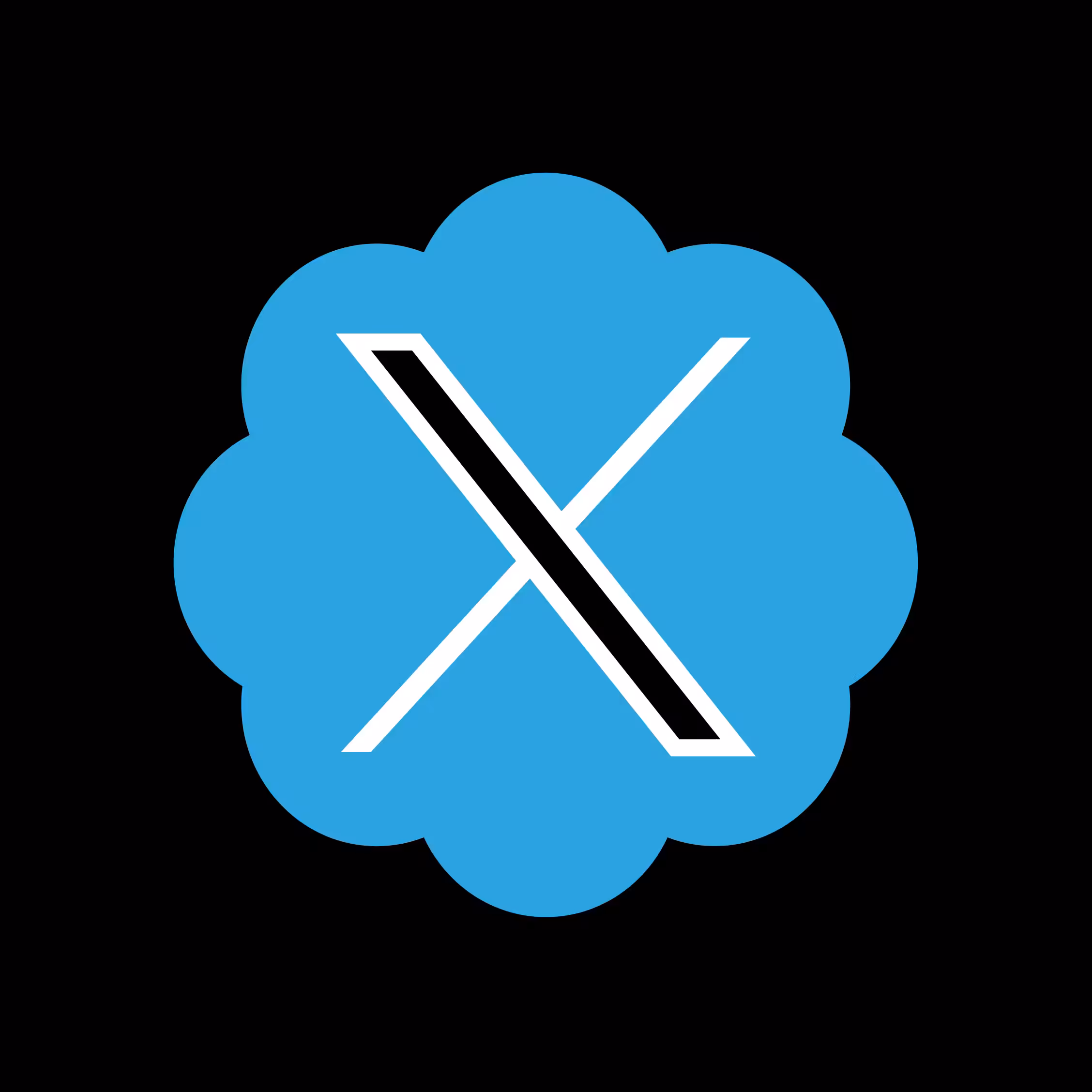 X Twitter