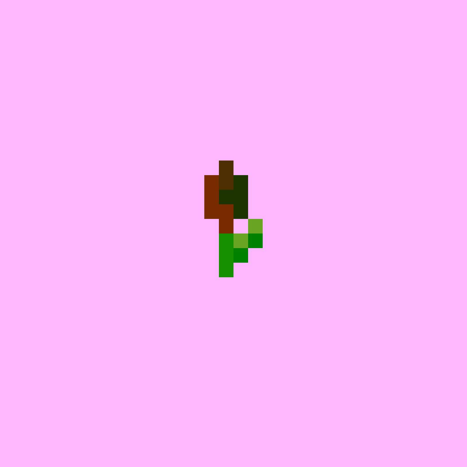 #65: Tulip