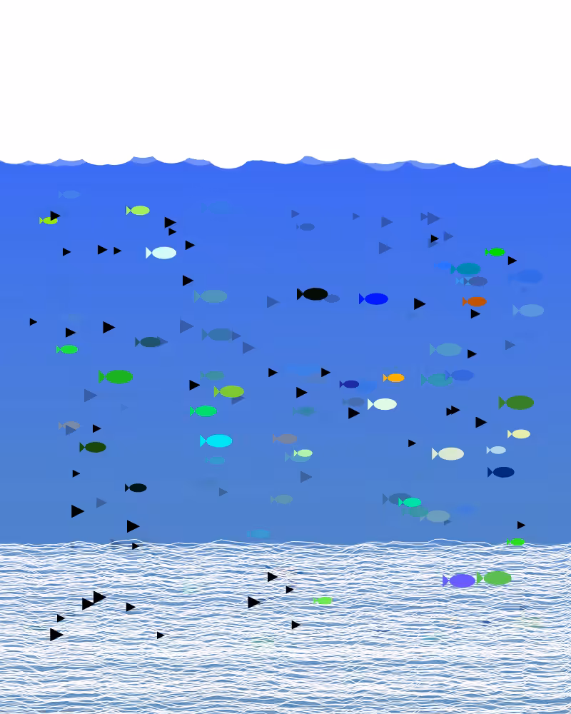 Flying Fish #6
