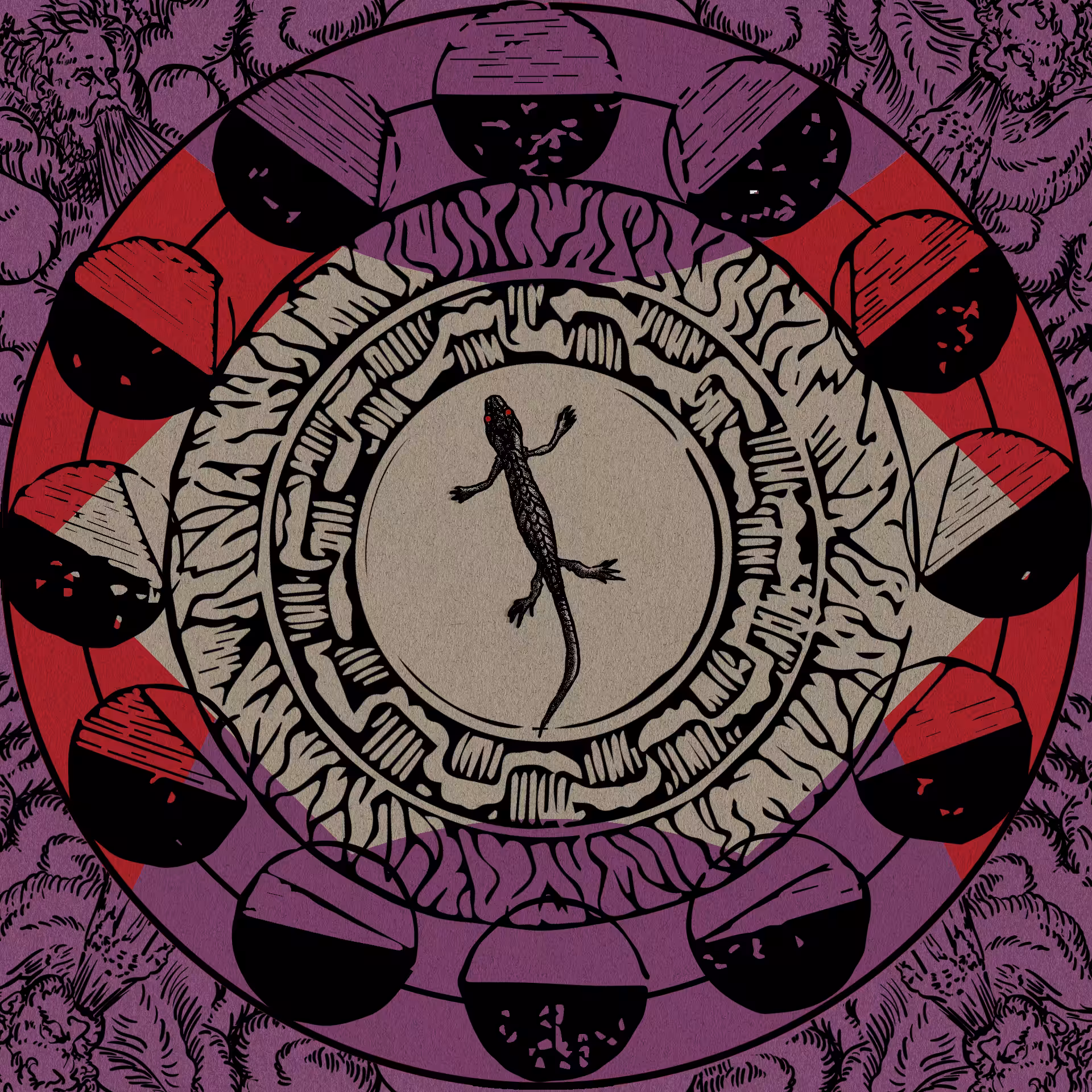 Cosmography #6