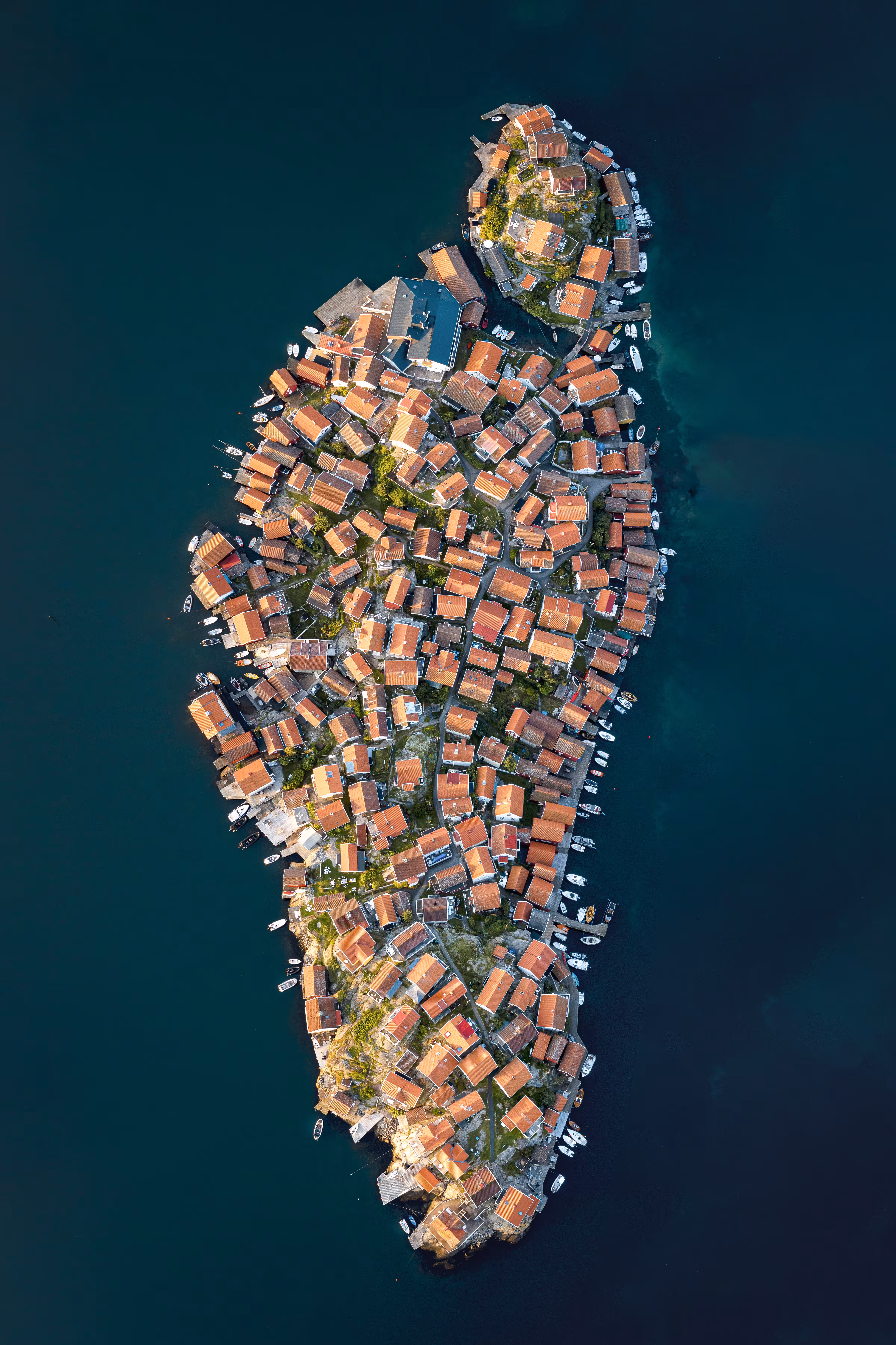 The island
