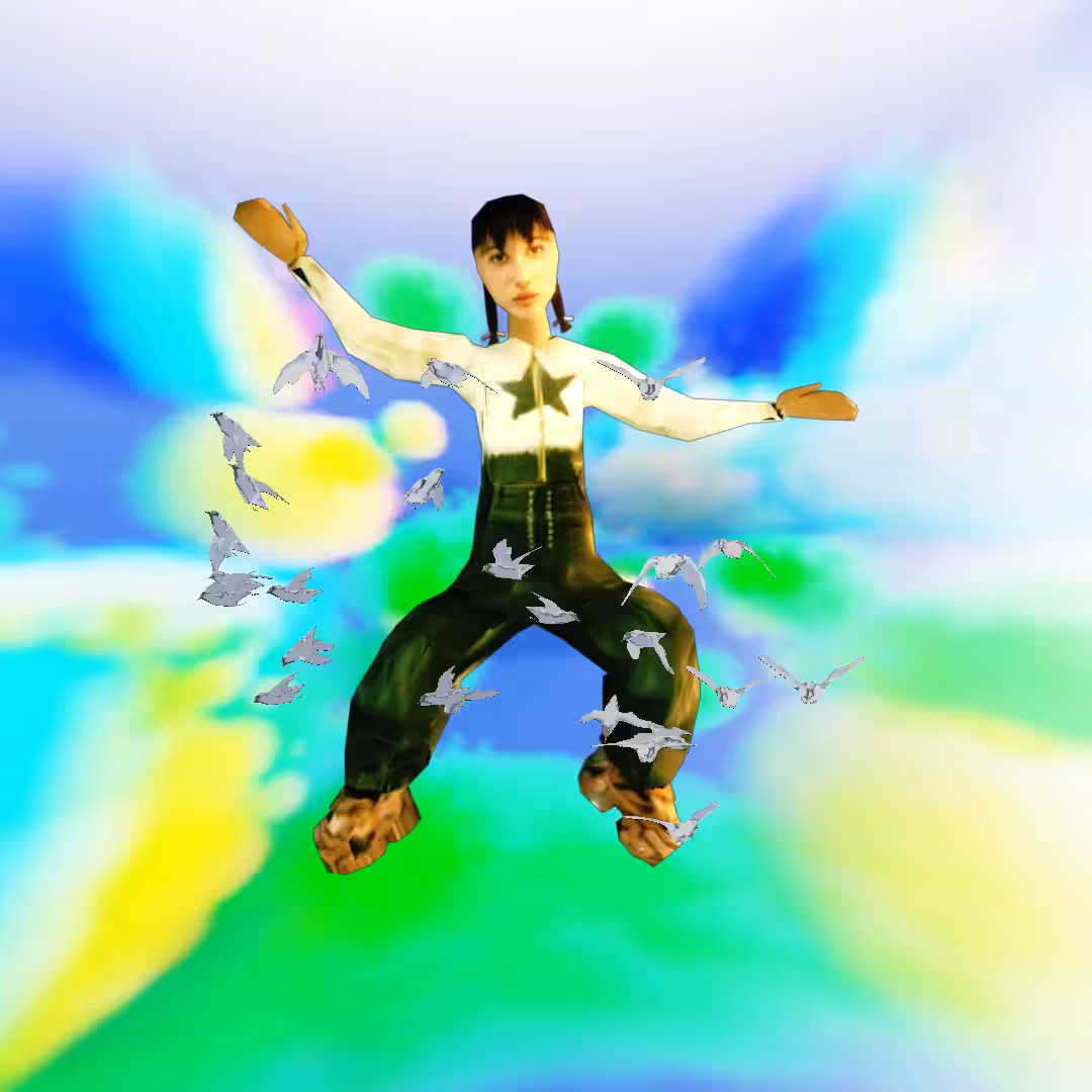 Cloud #35: The Rare Sky Star Character With the Seagulls.