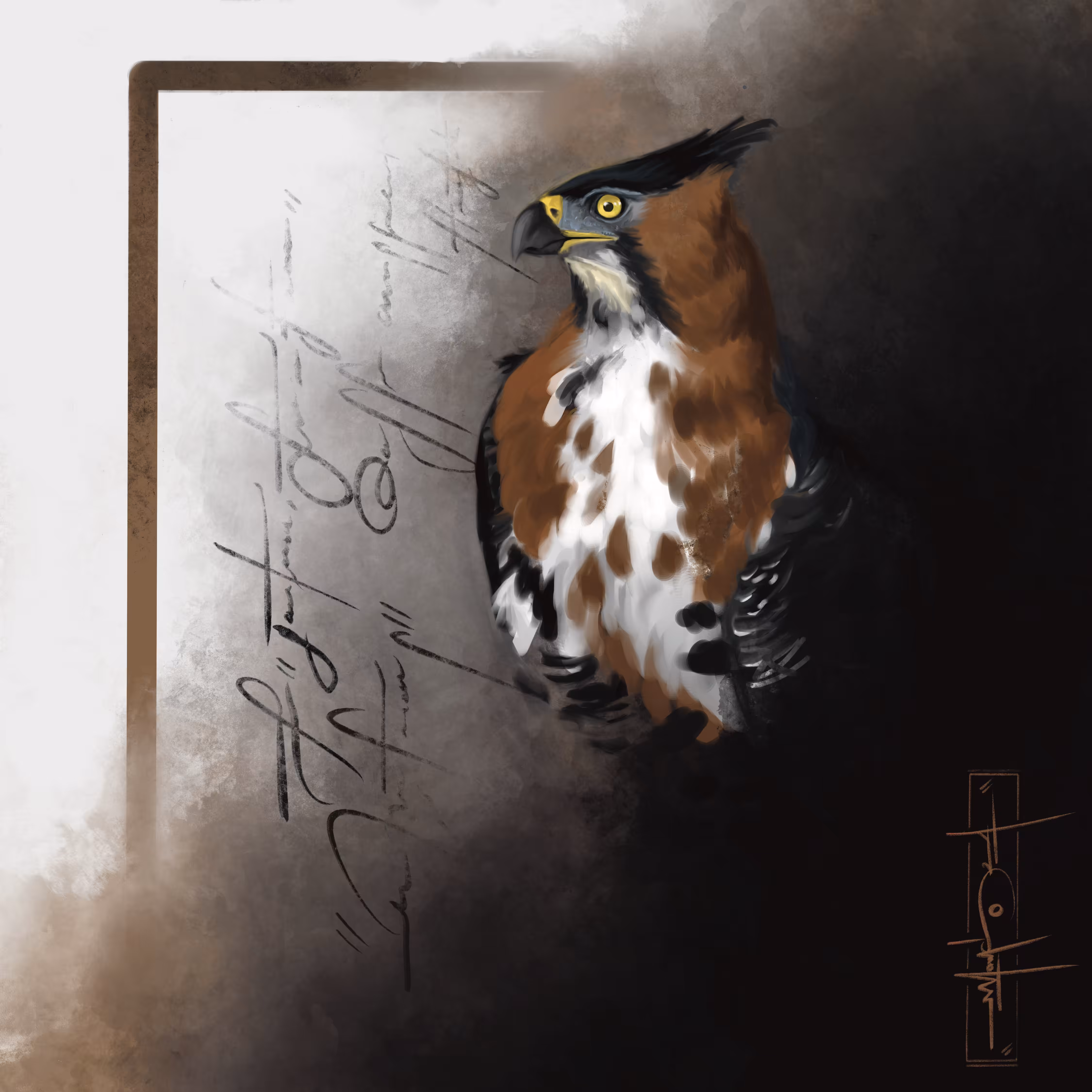 hawk-eagle