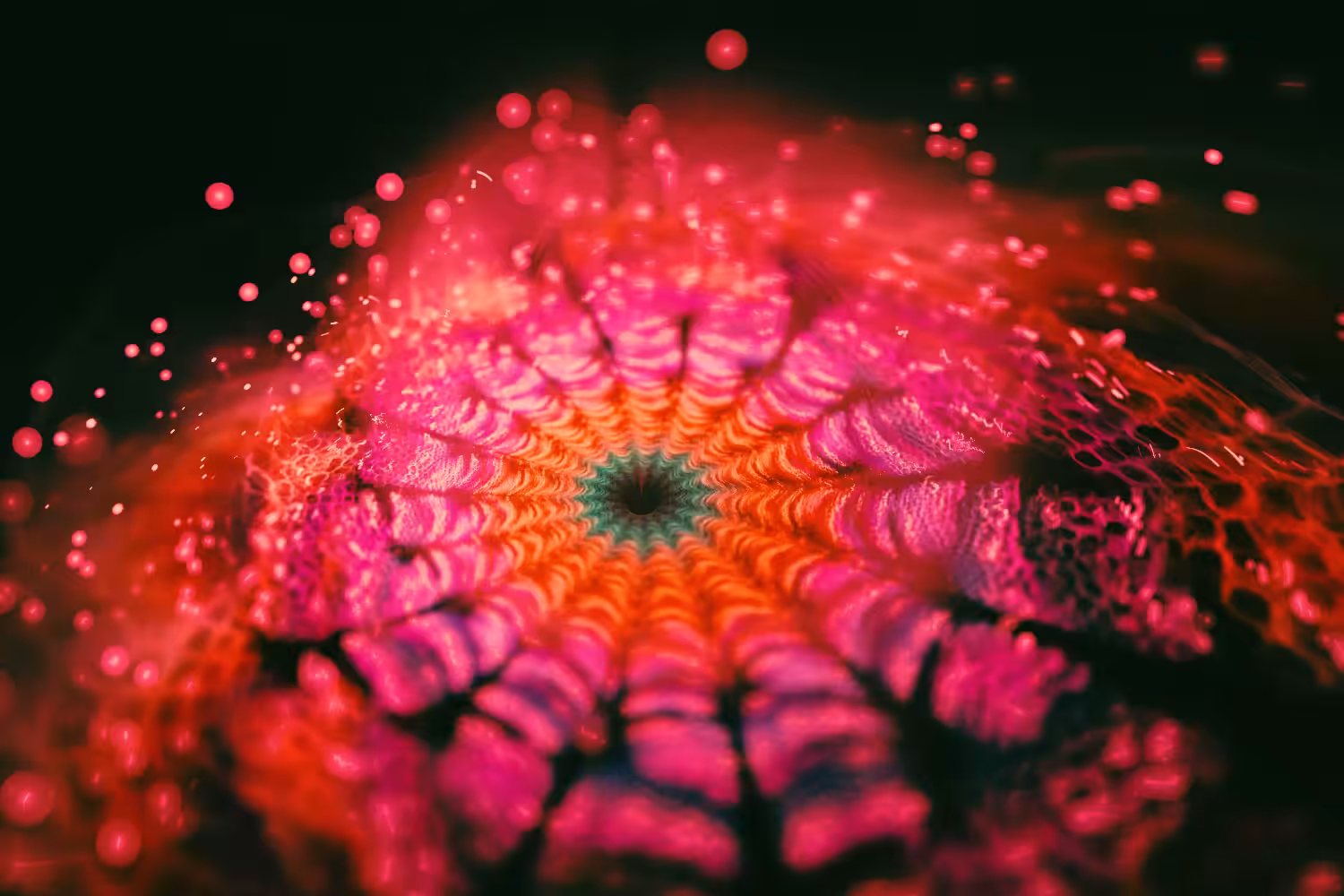 InnerVision 03