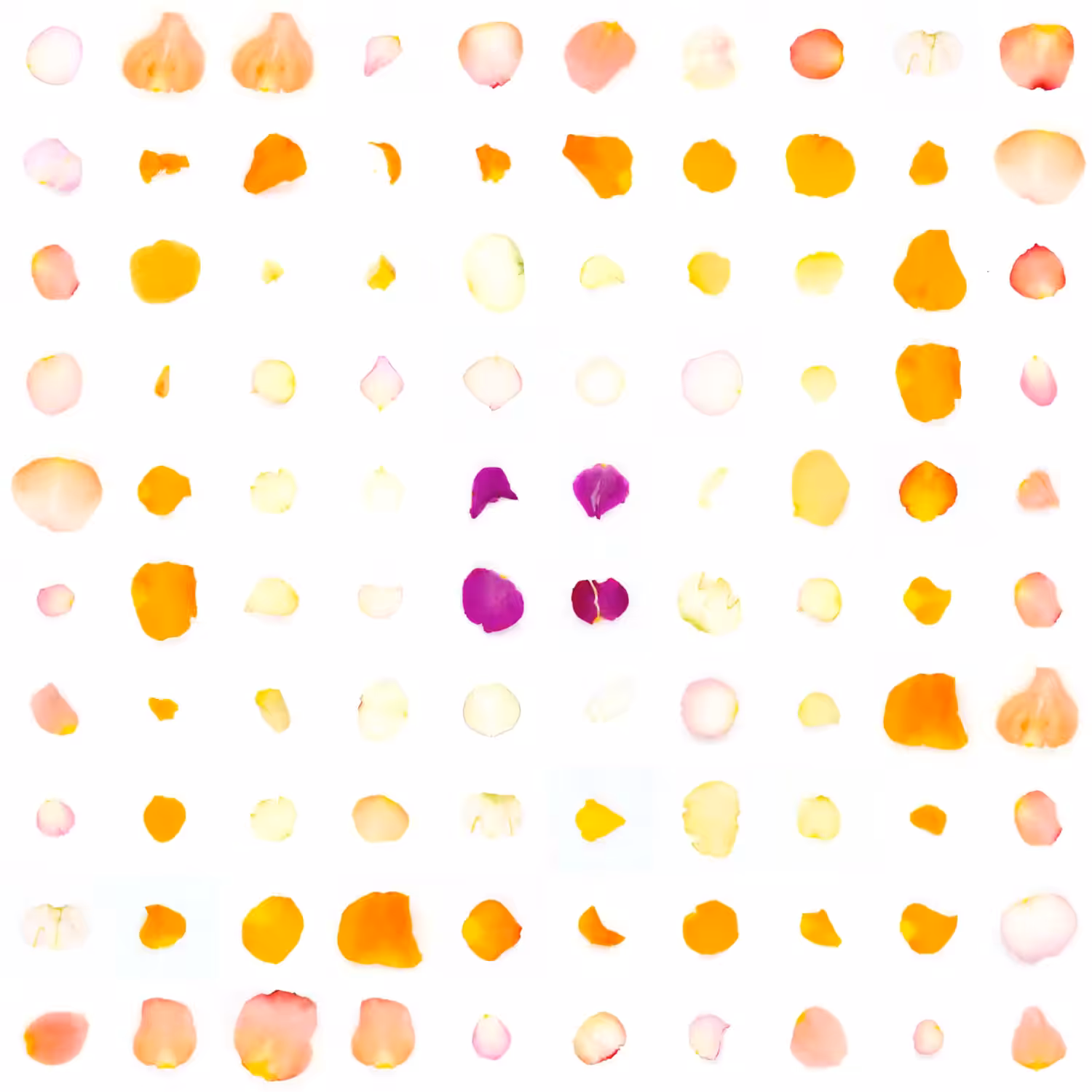Infinite Petals 10x10#1740