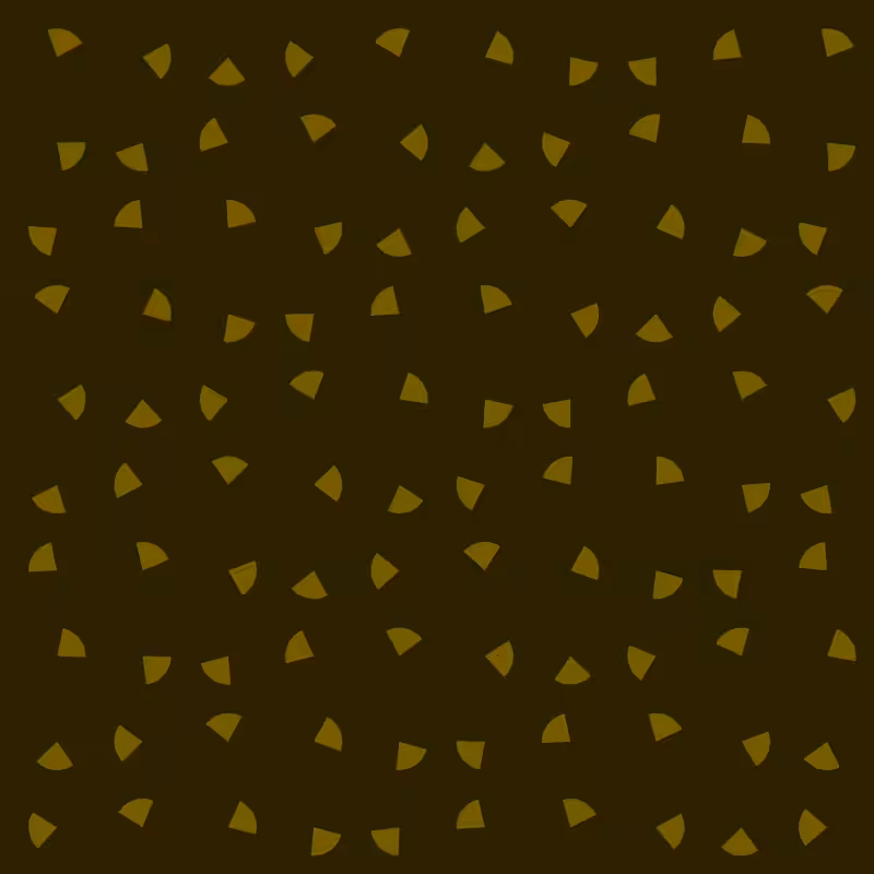 Sacilotto Hash #24