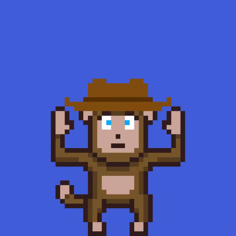 fxMonkeys #49