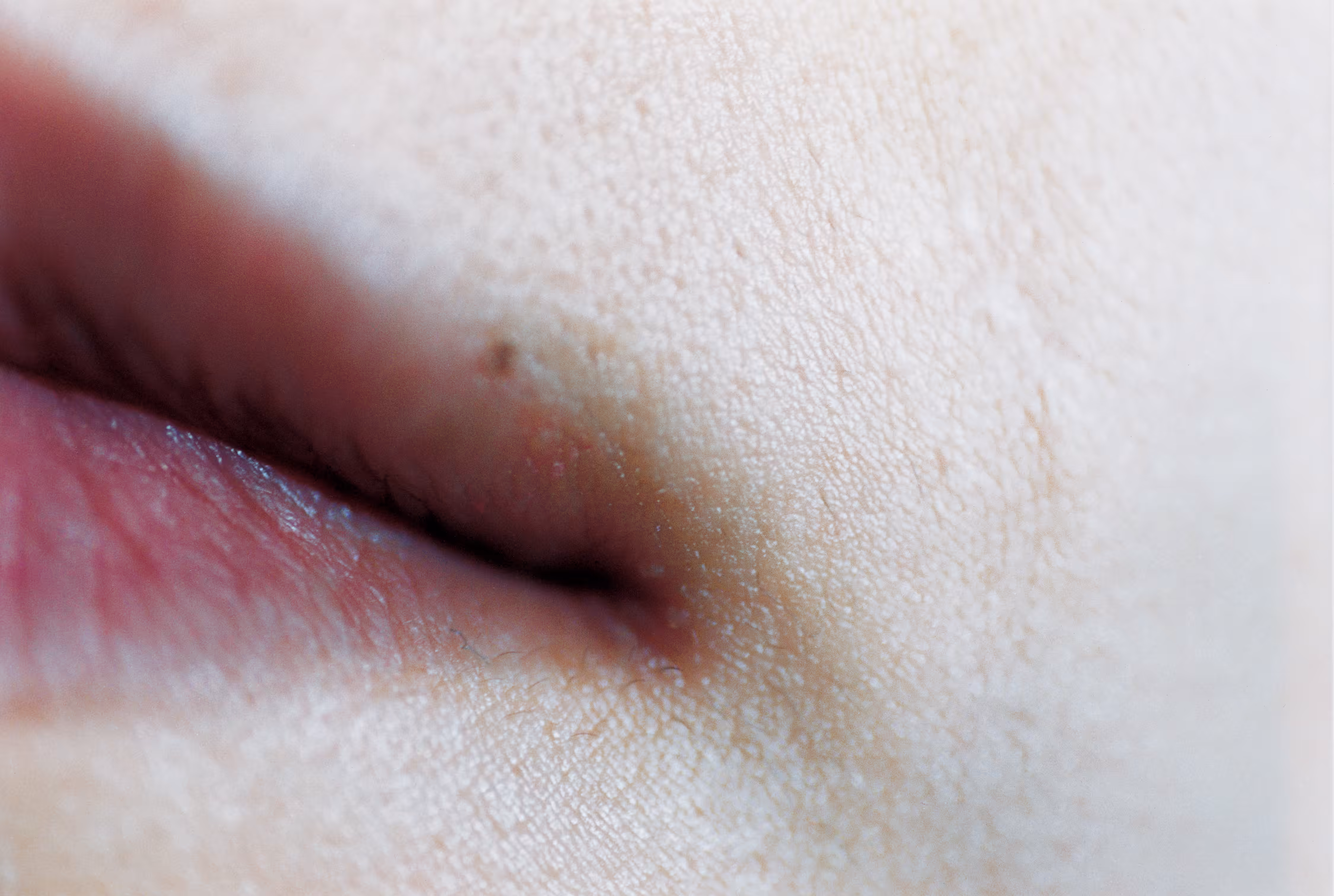 Closer - End of lips, 2000