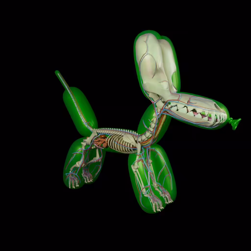Balloon Dog Anatomy (Green)