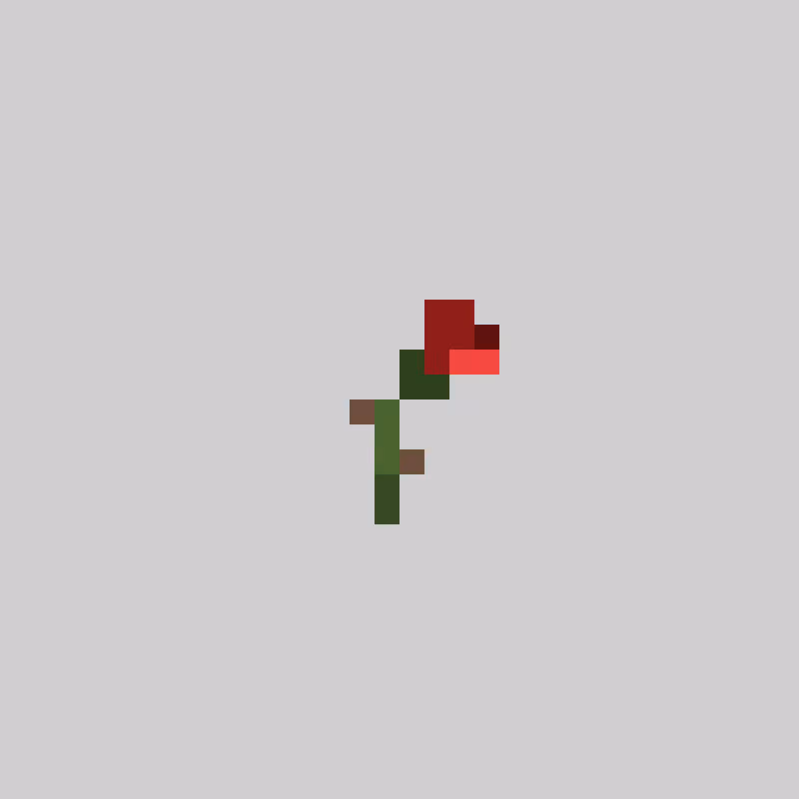 pix18: #8: The Rose