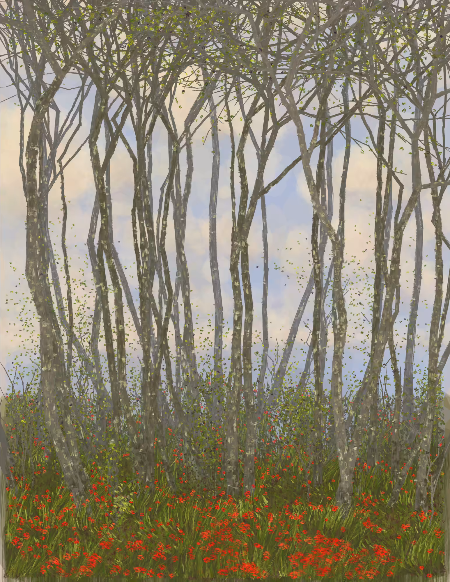 Deep Forest #31