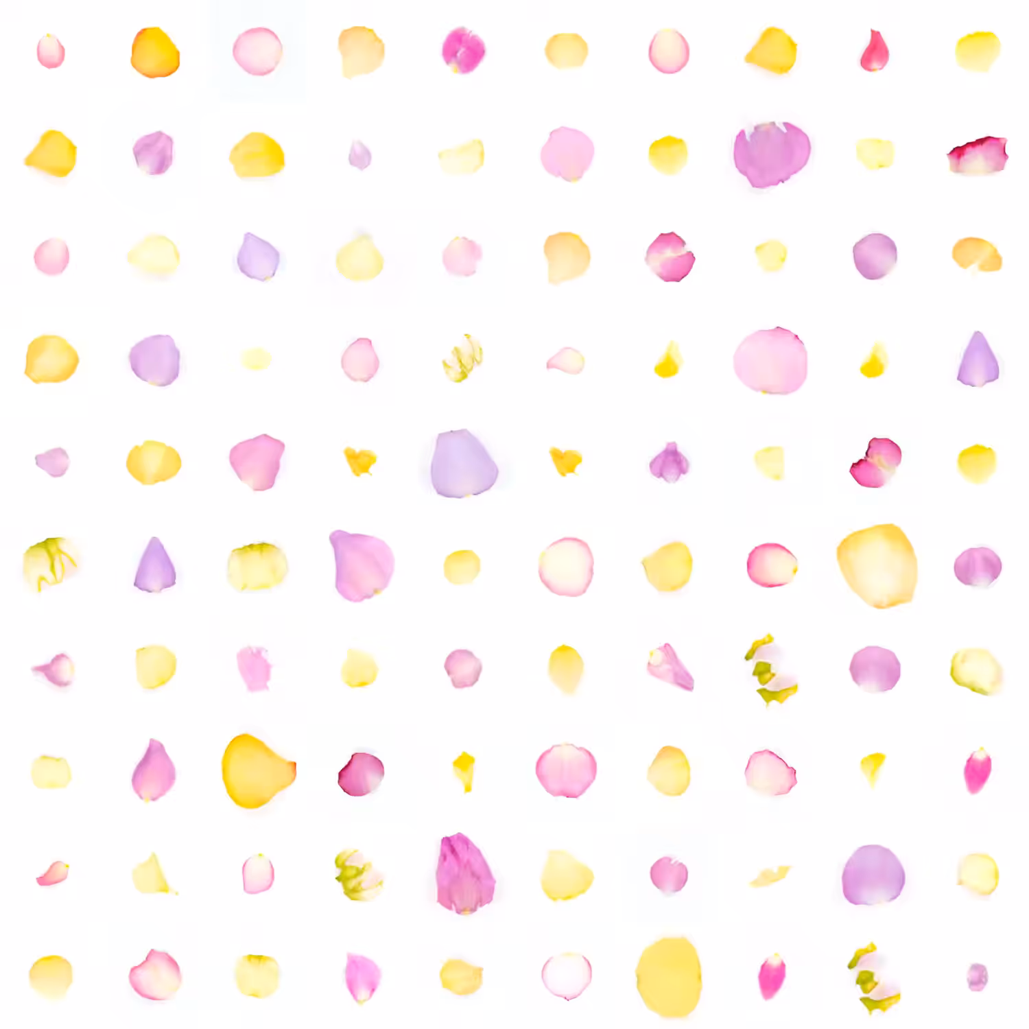 Infinite Petals 10x10#1394