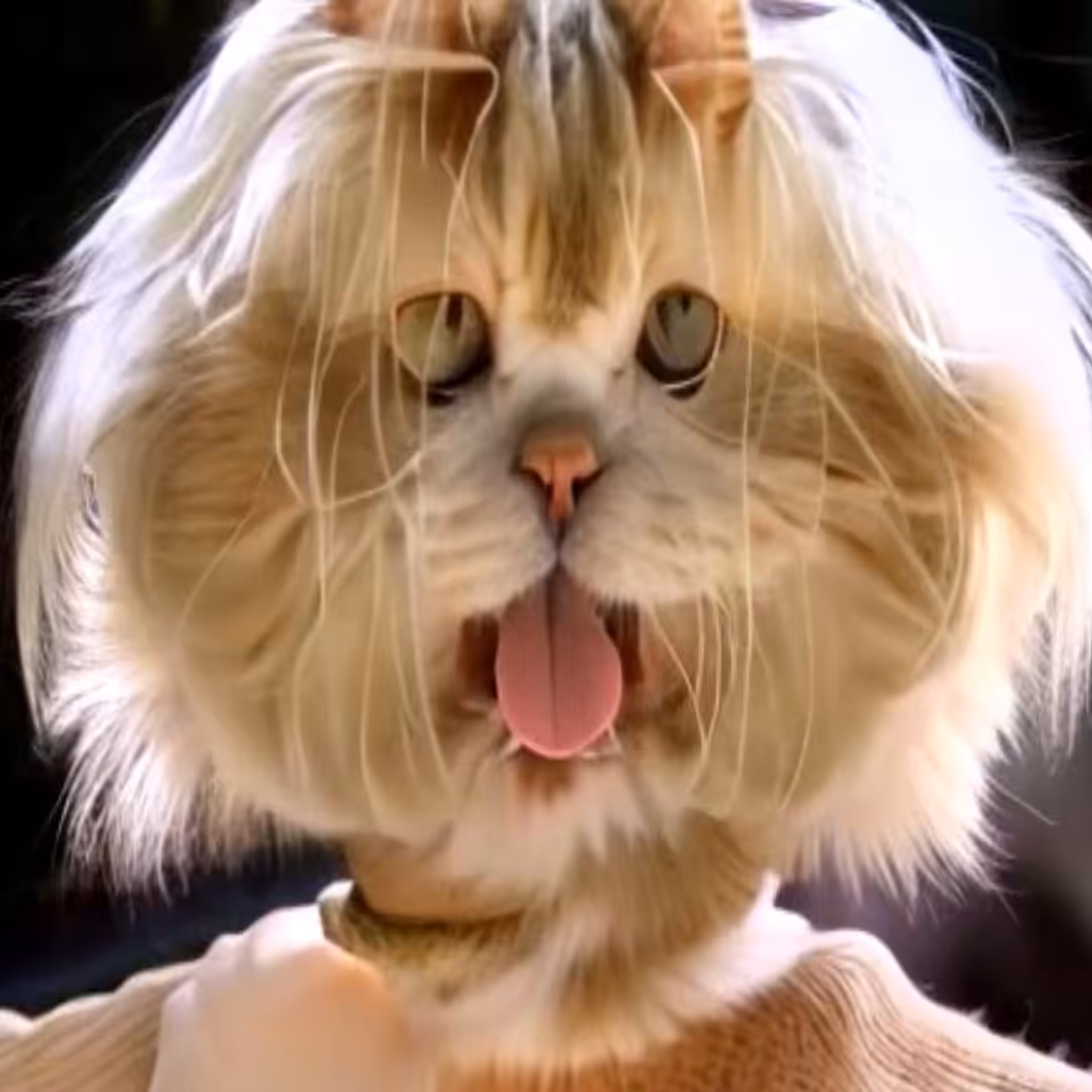 Geoffrey Lillemon - BLONDIE CATS