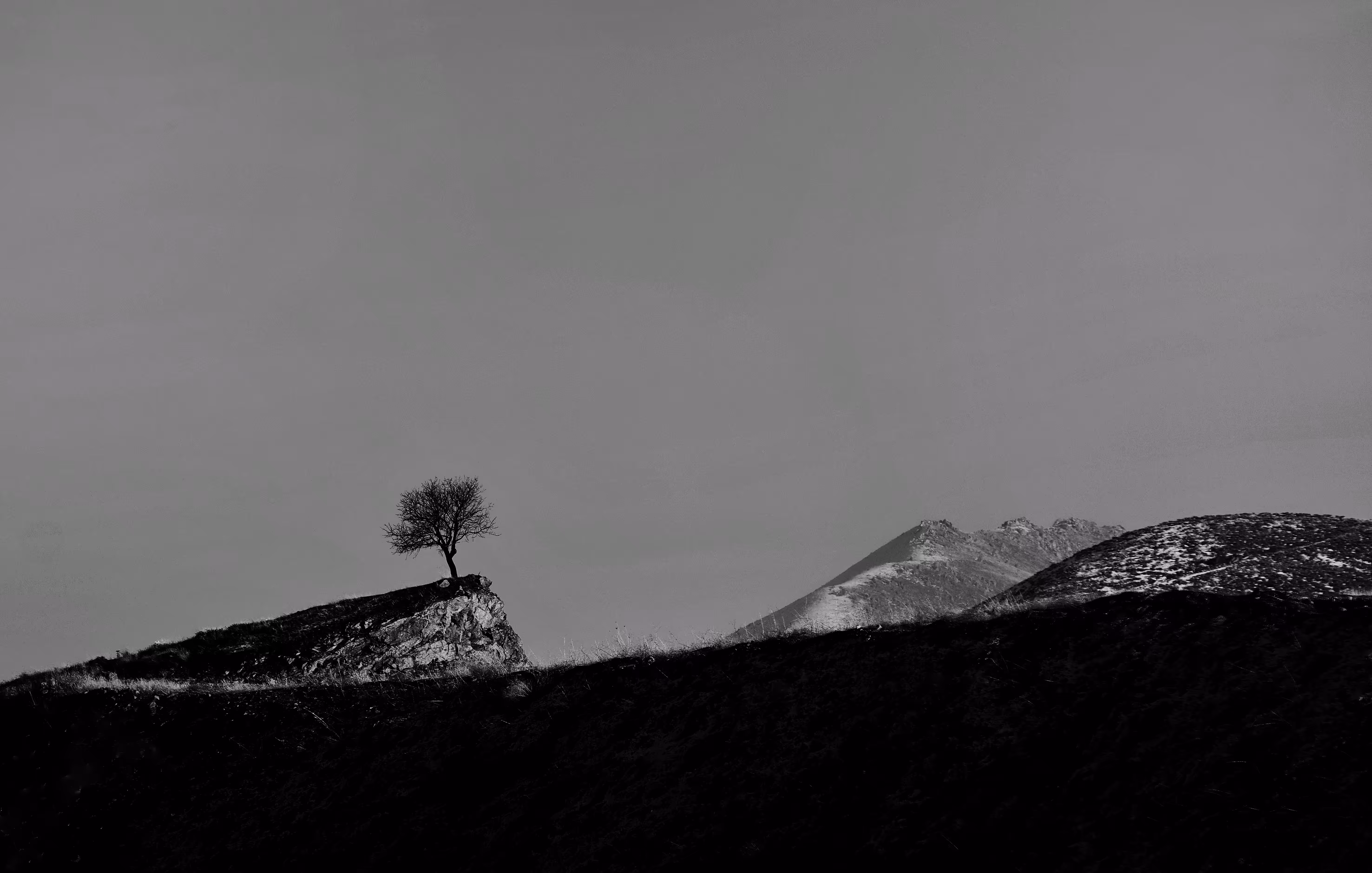 Lonely tree and ruthless roads