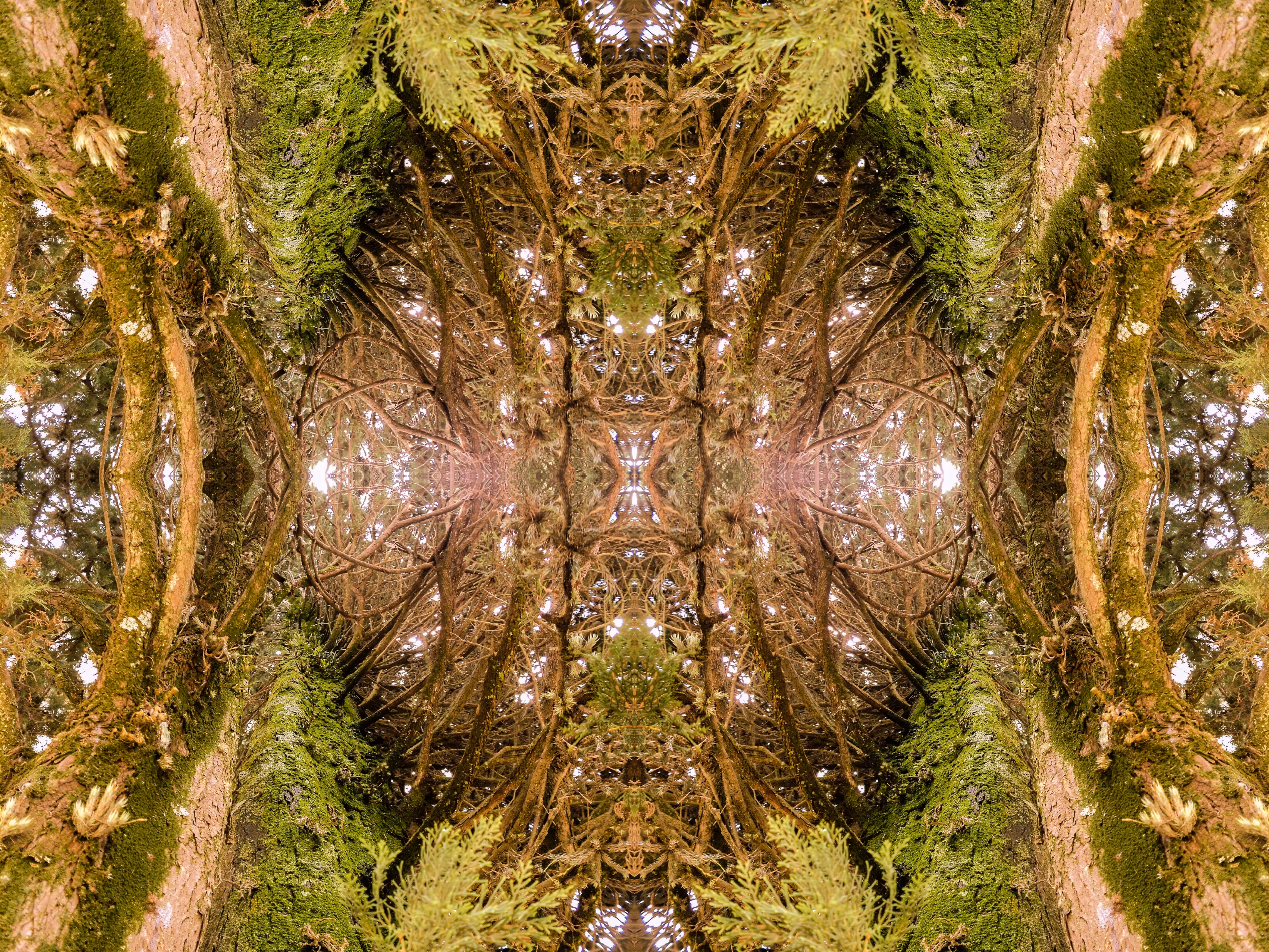 nature portal