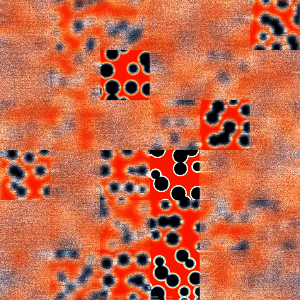 Bacterias #40