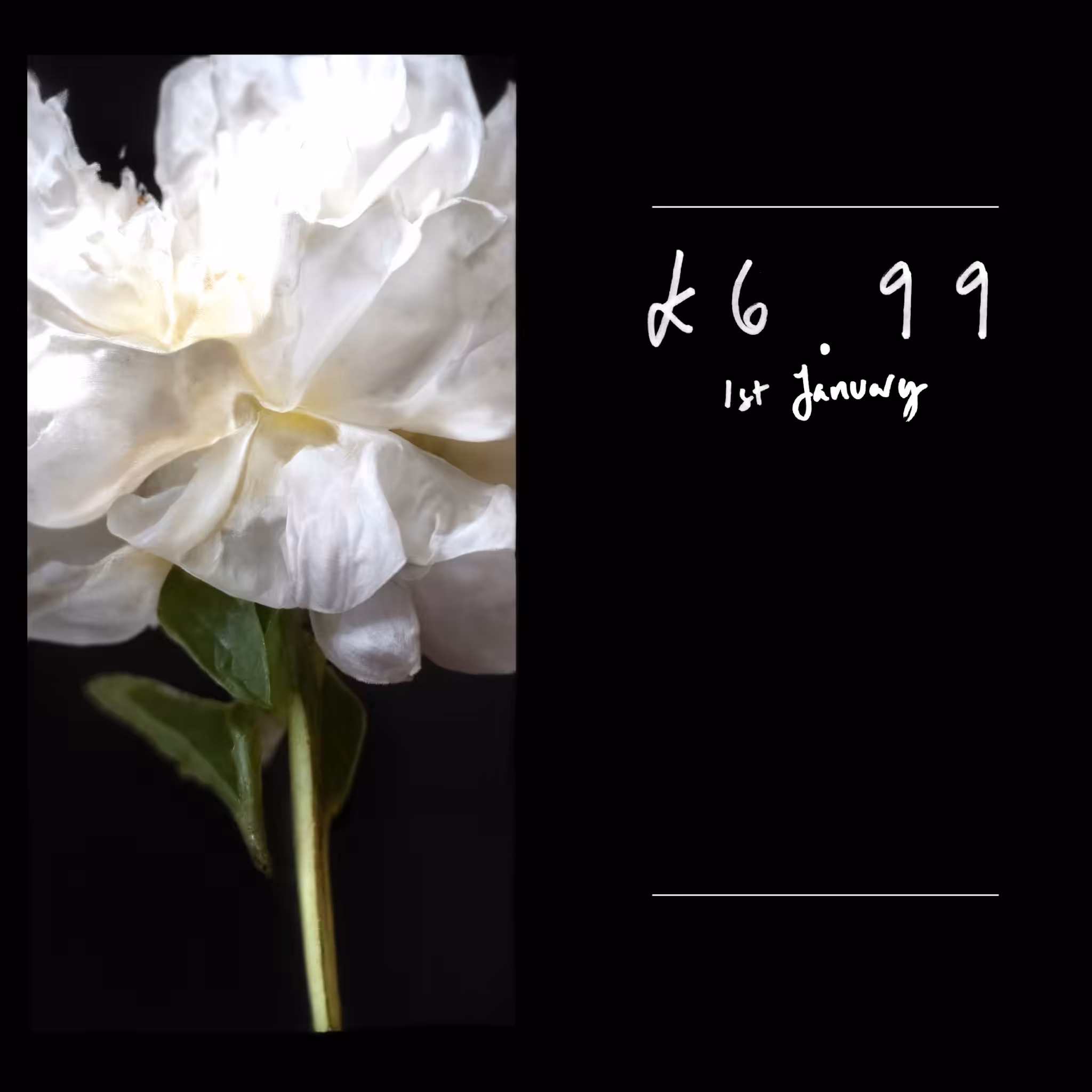 Price Per Stem 04