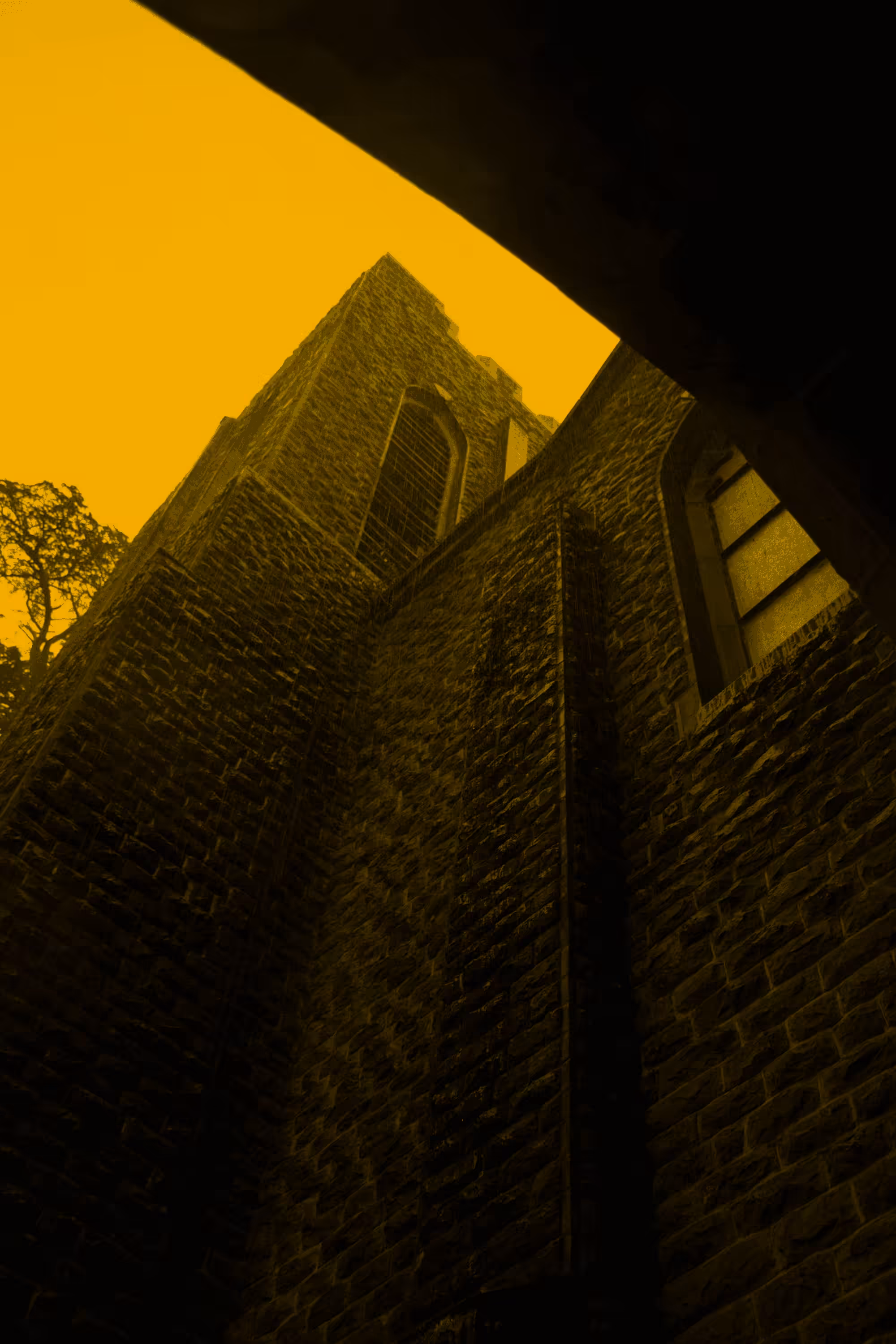 The Cathedral 