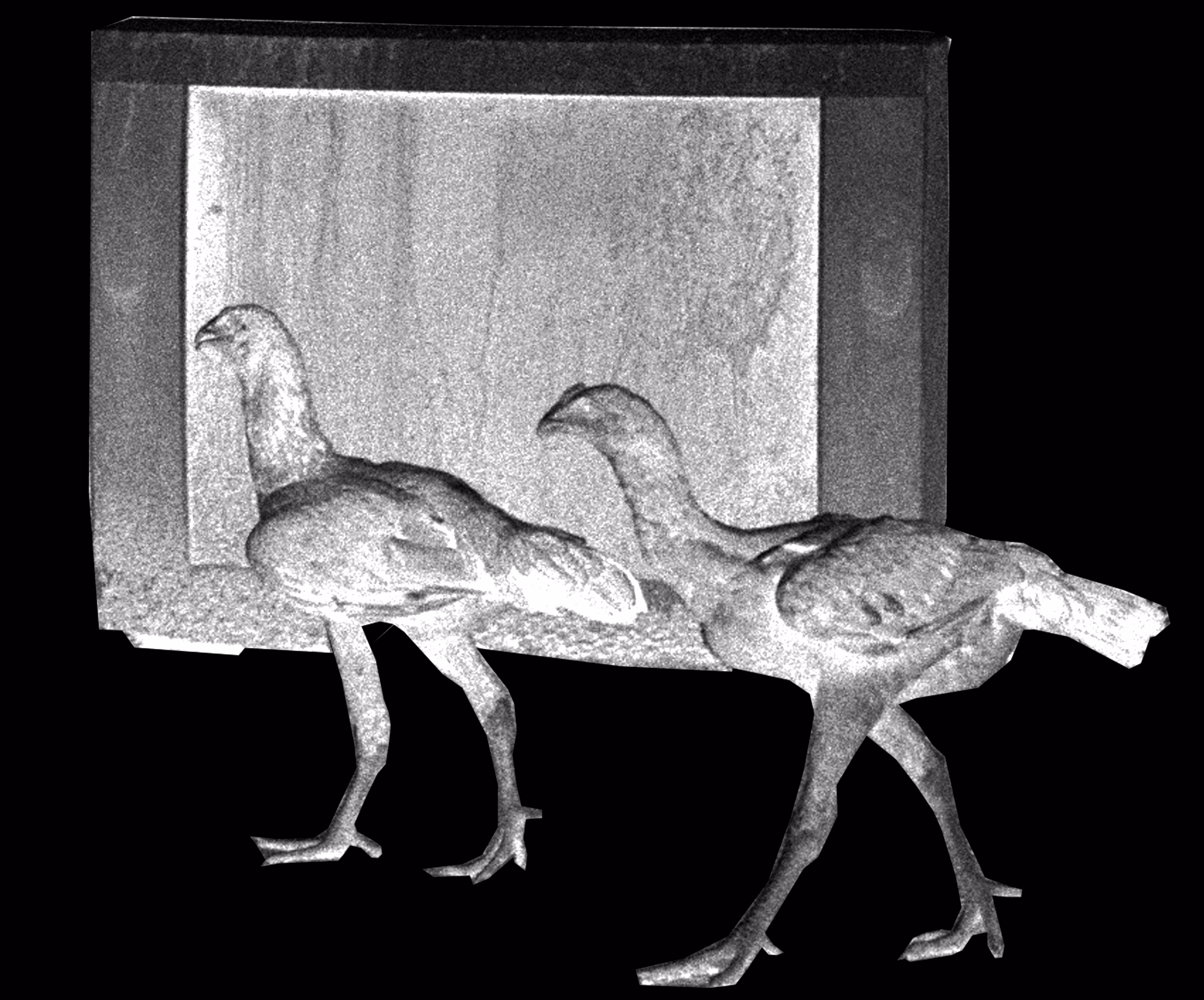 tv chicken