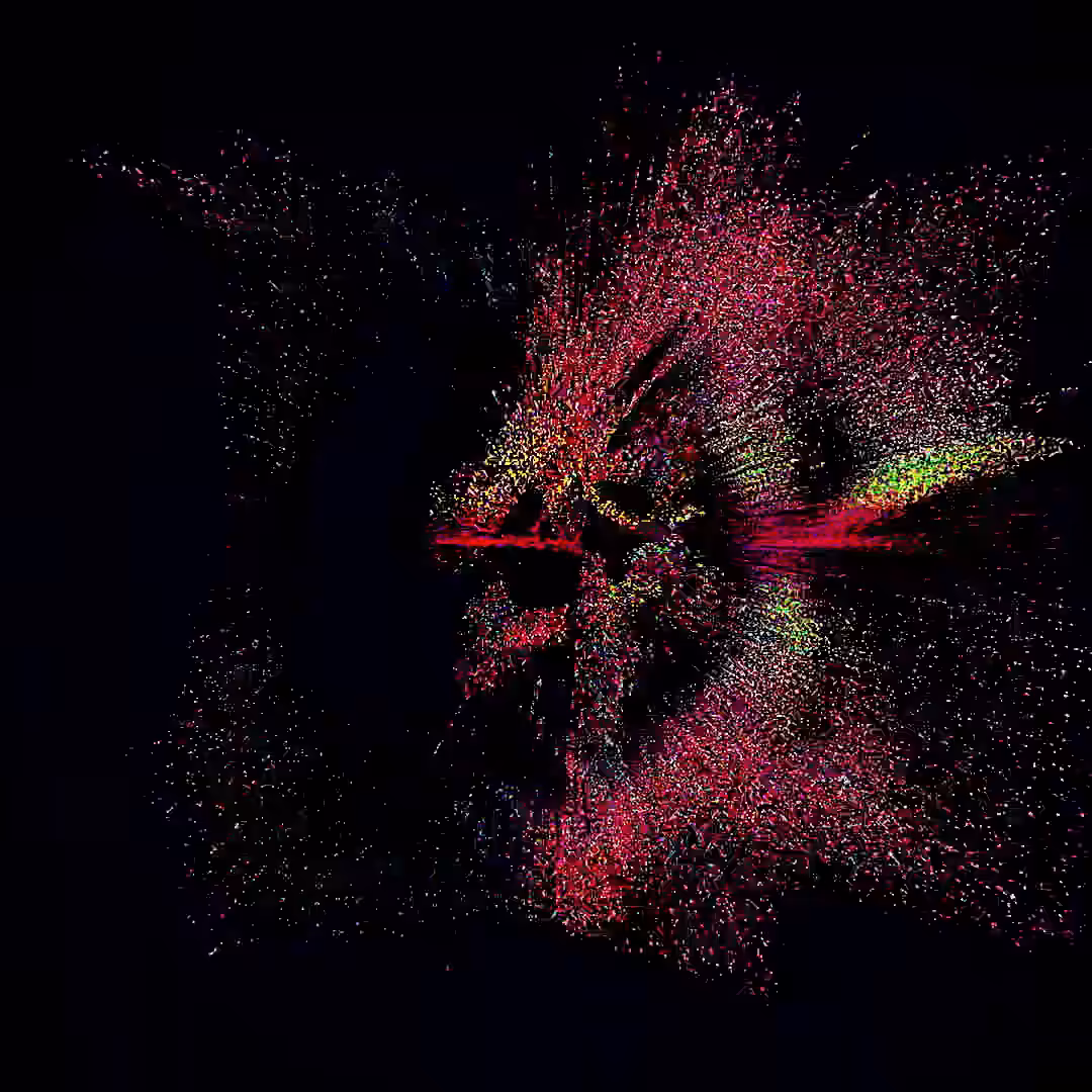 𝐅𝐋𝐎𝐑𝐀 𝐀𝐋𝐌𝐀 𝐈