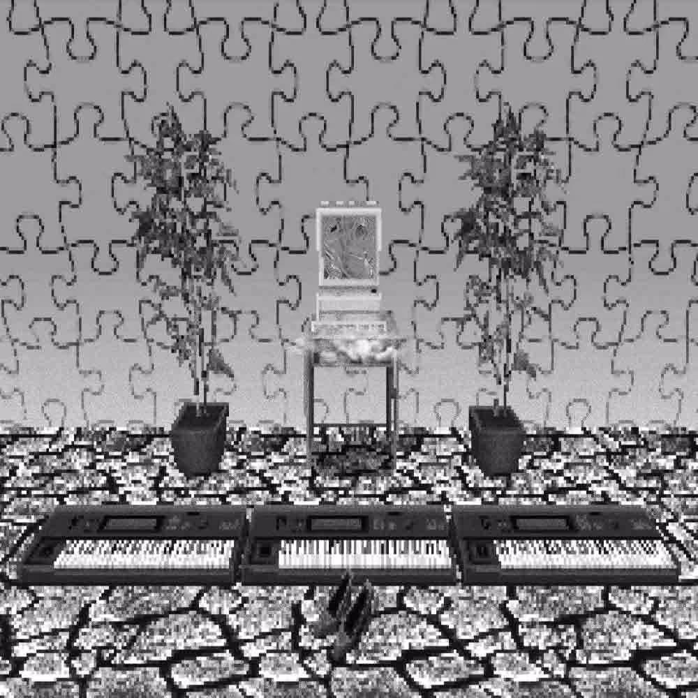 STUDIO BONG