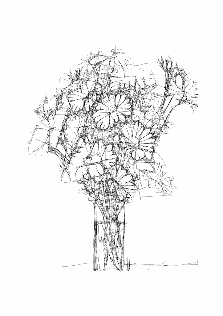 Dasies