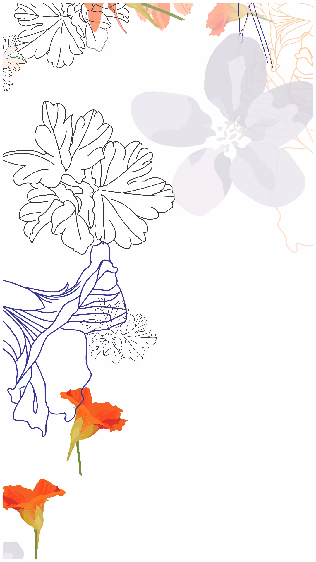 DrawFlow 2 #9