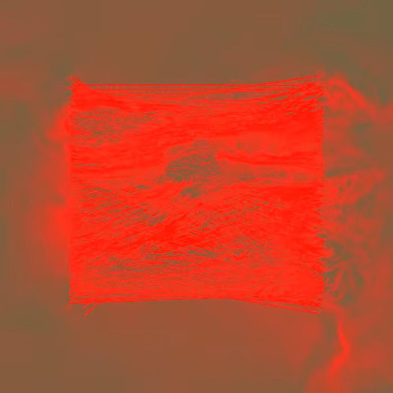 xxf #81