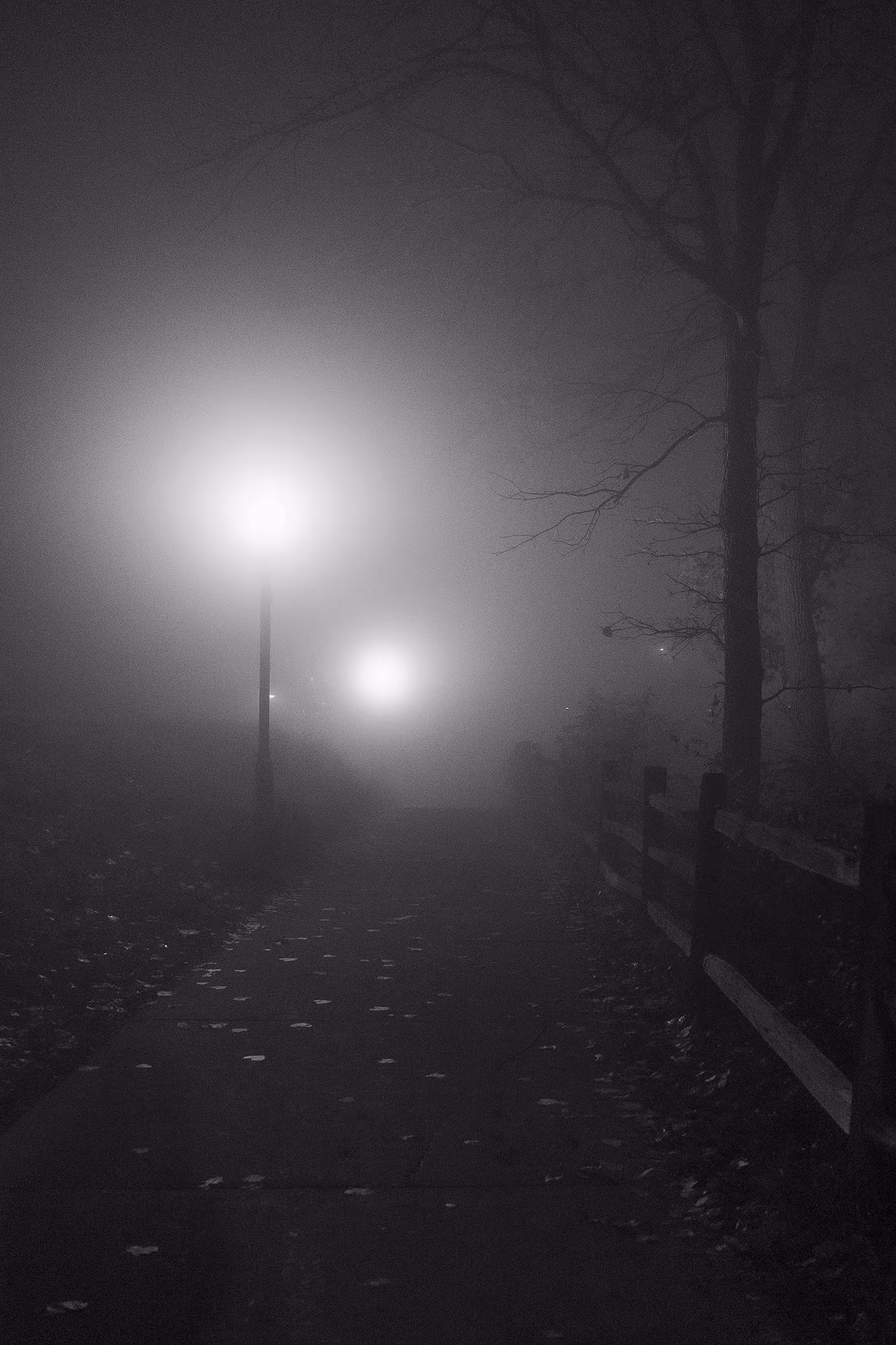 Hungry Ghost Realm