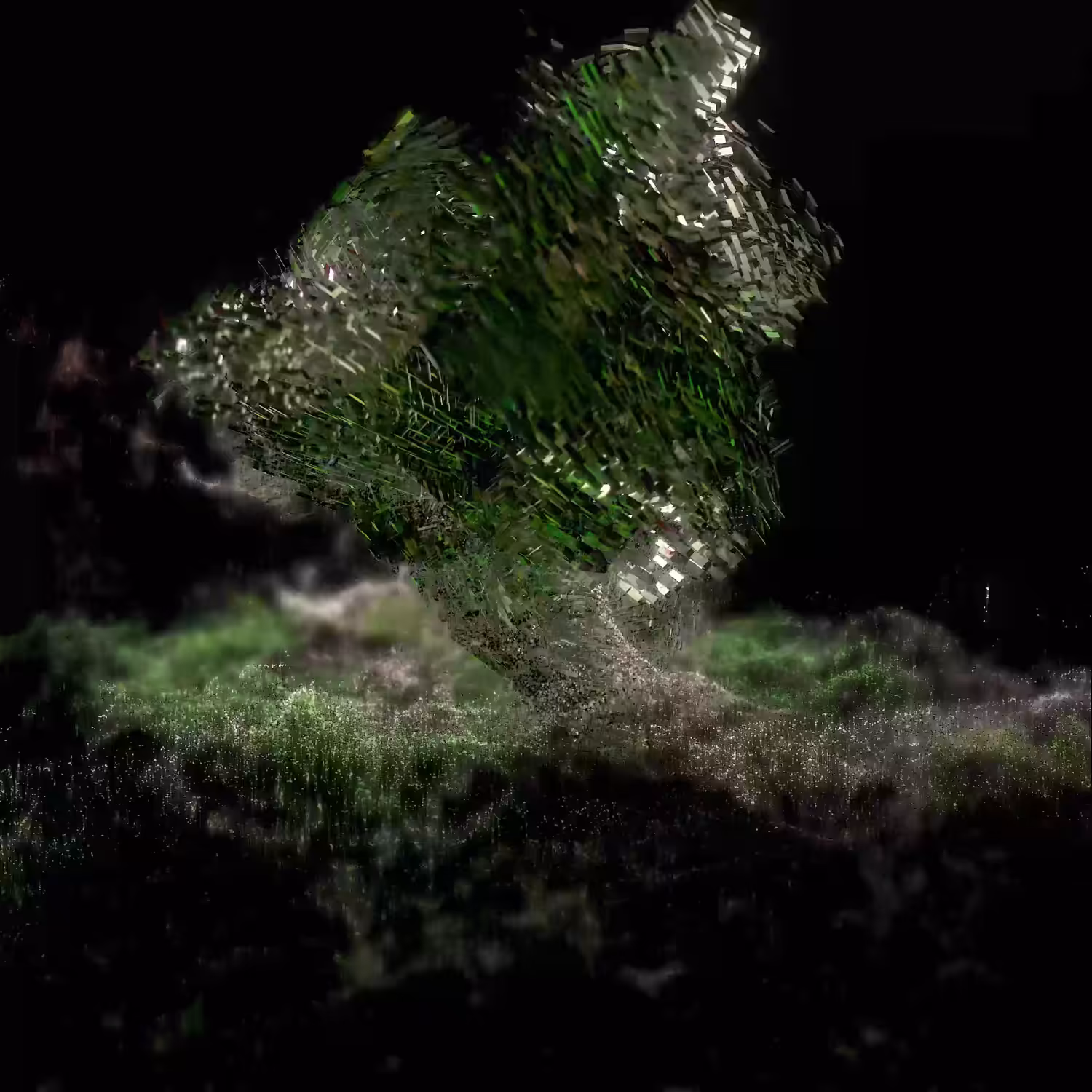 Detritus #05
