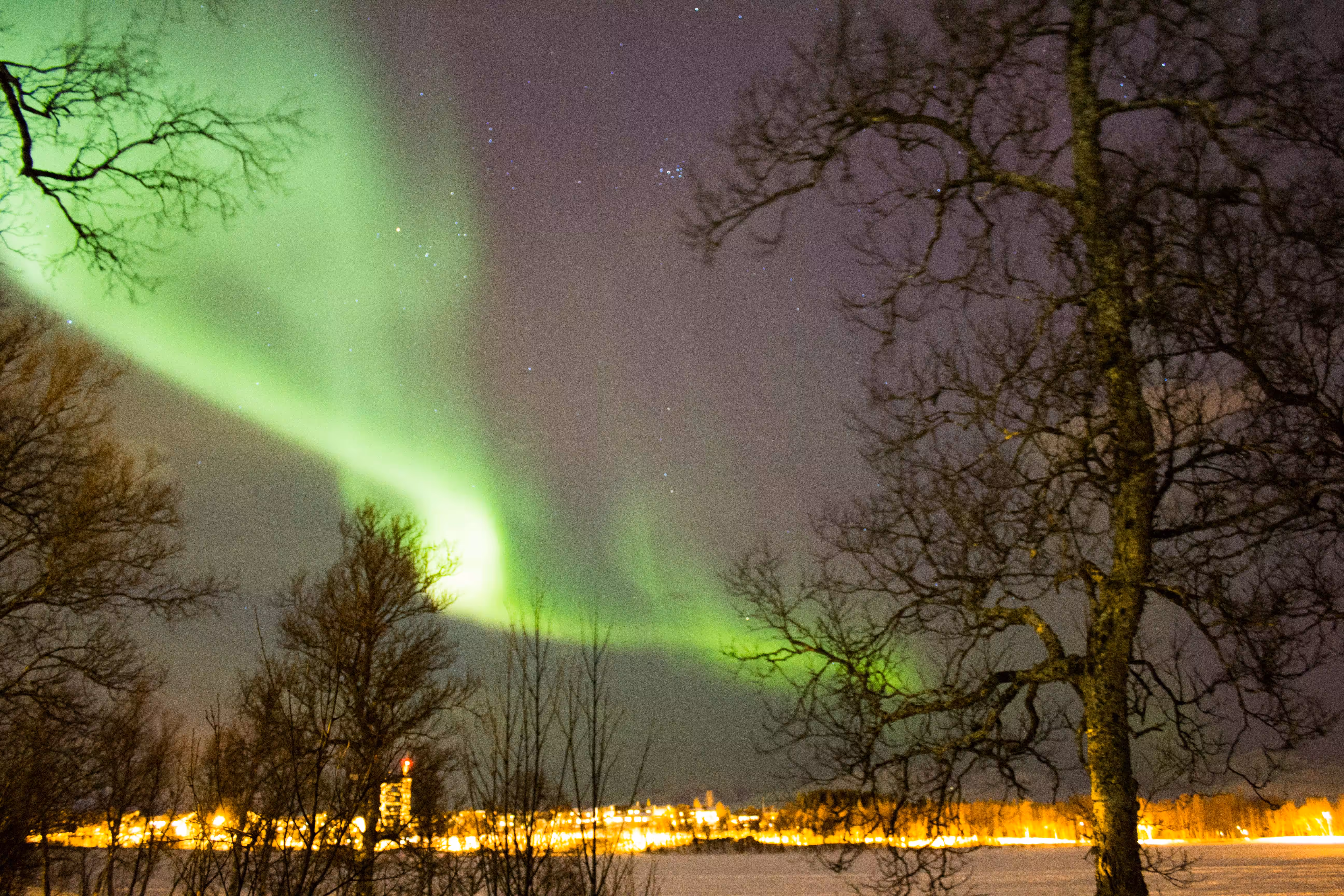 tromsø nordlys