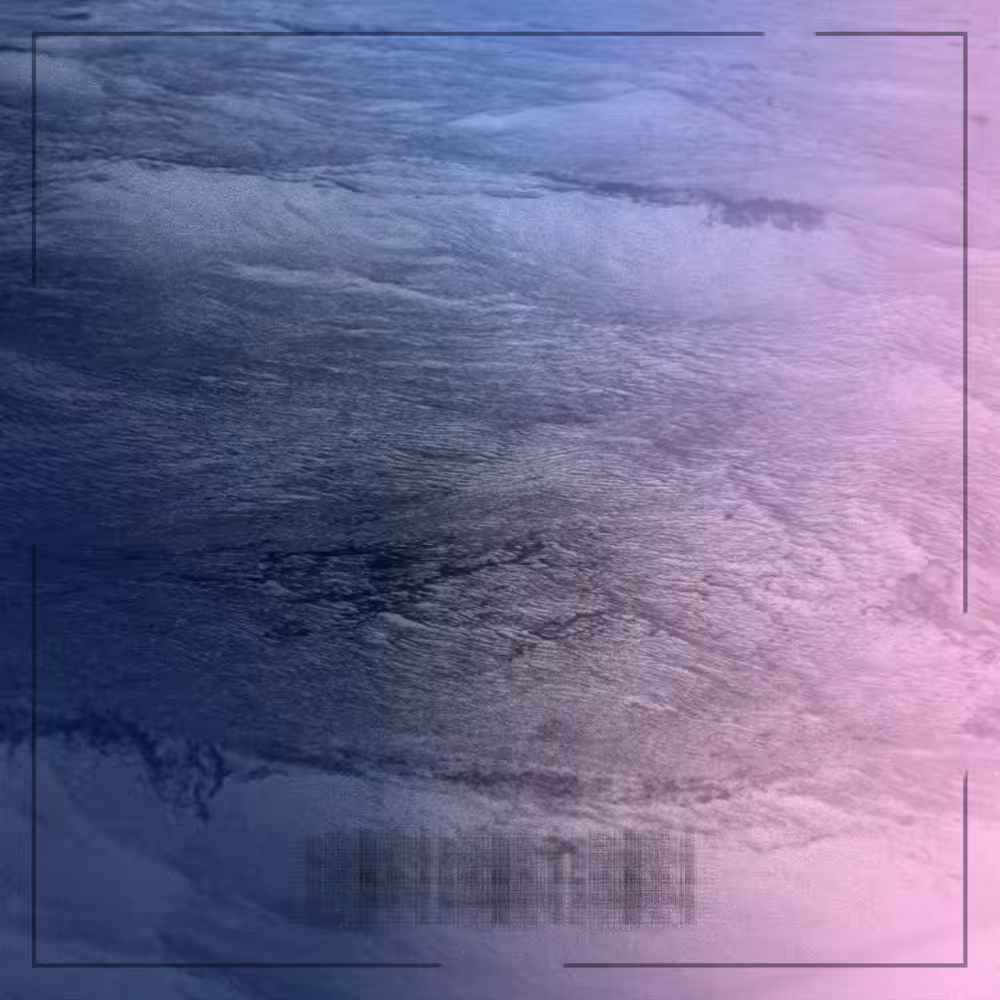 #115