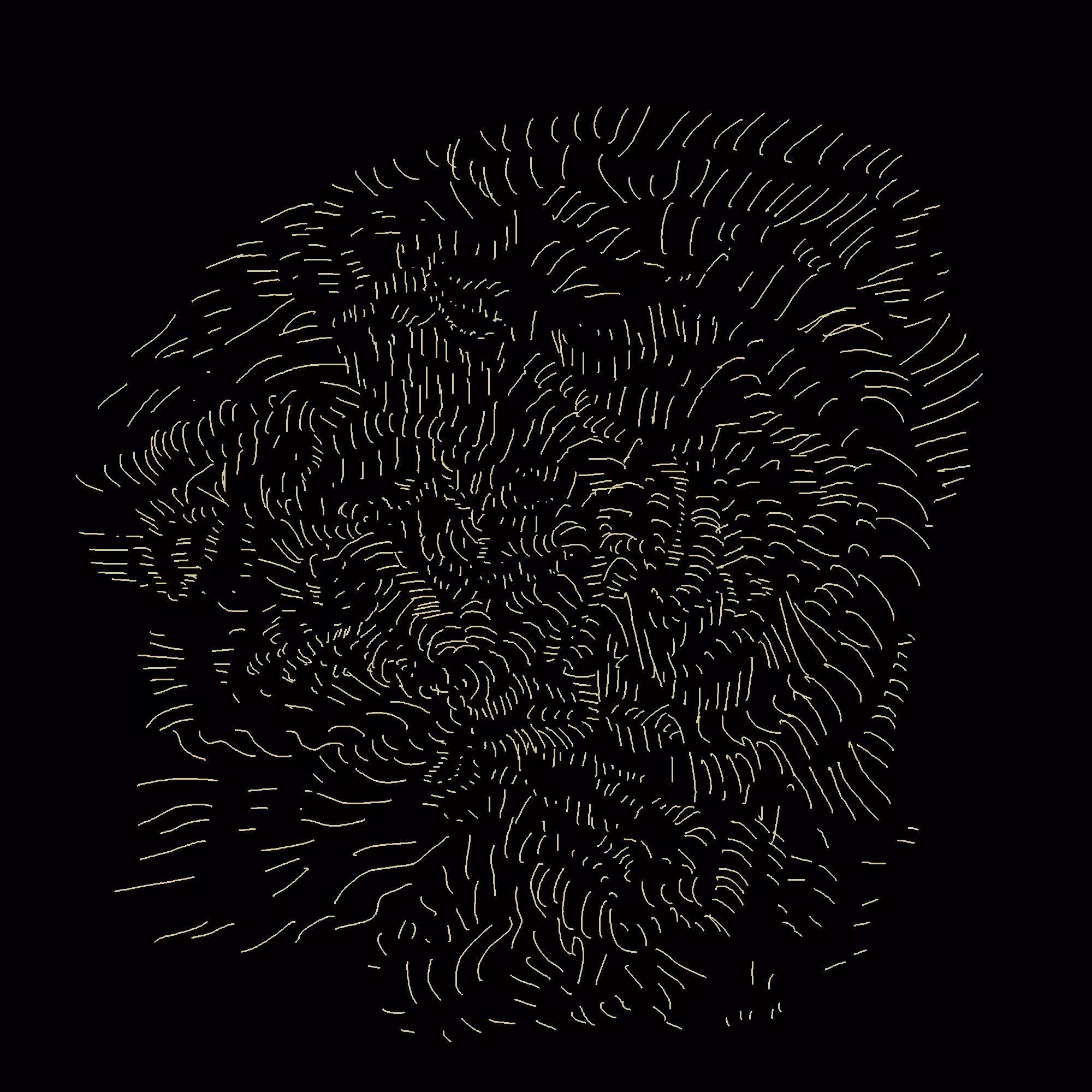 wind in the eyes of a yet non seen life form