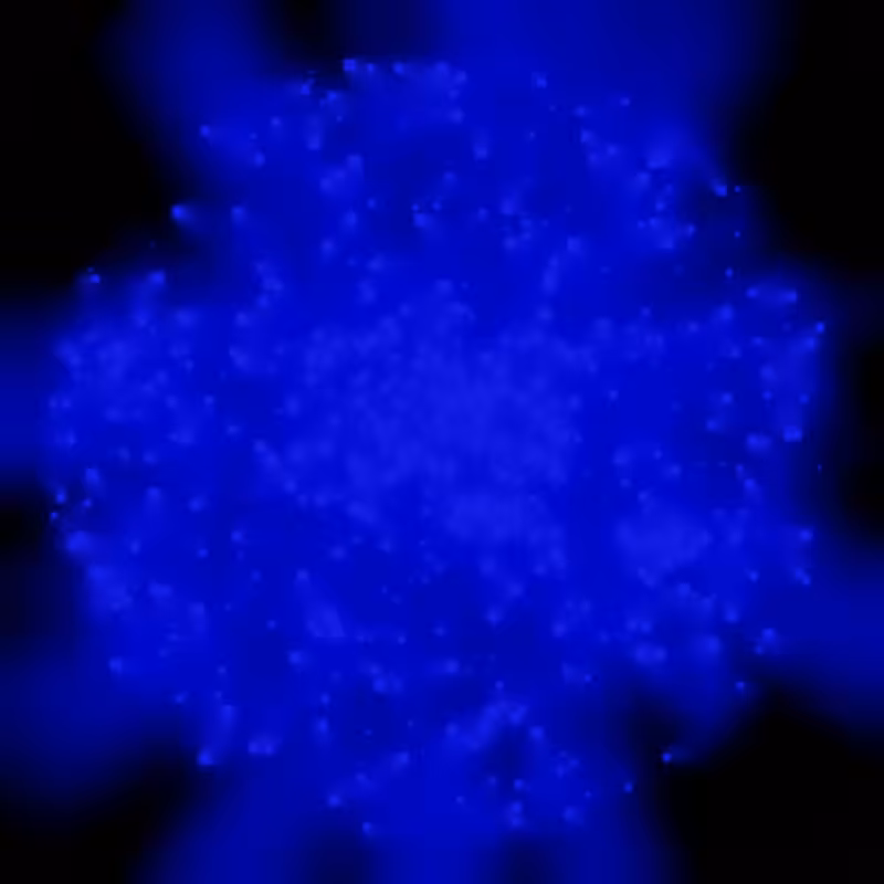 Petri Dish #15