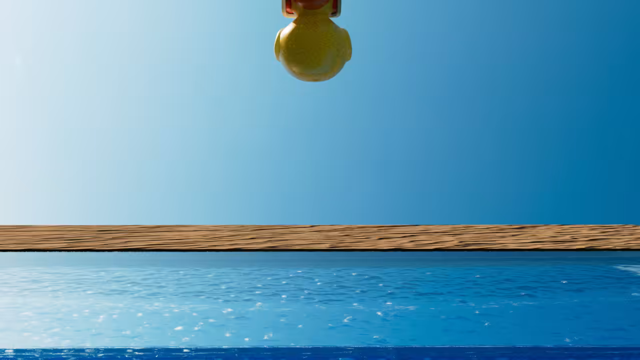 pilot duck