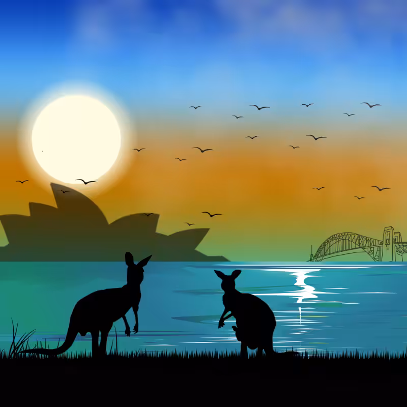 We Care...Kangaroo #3
