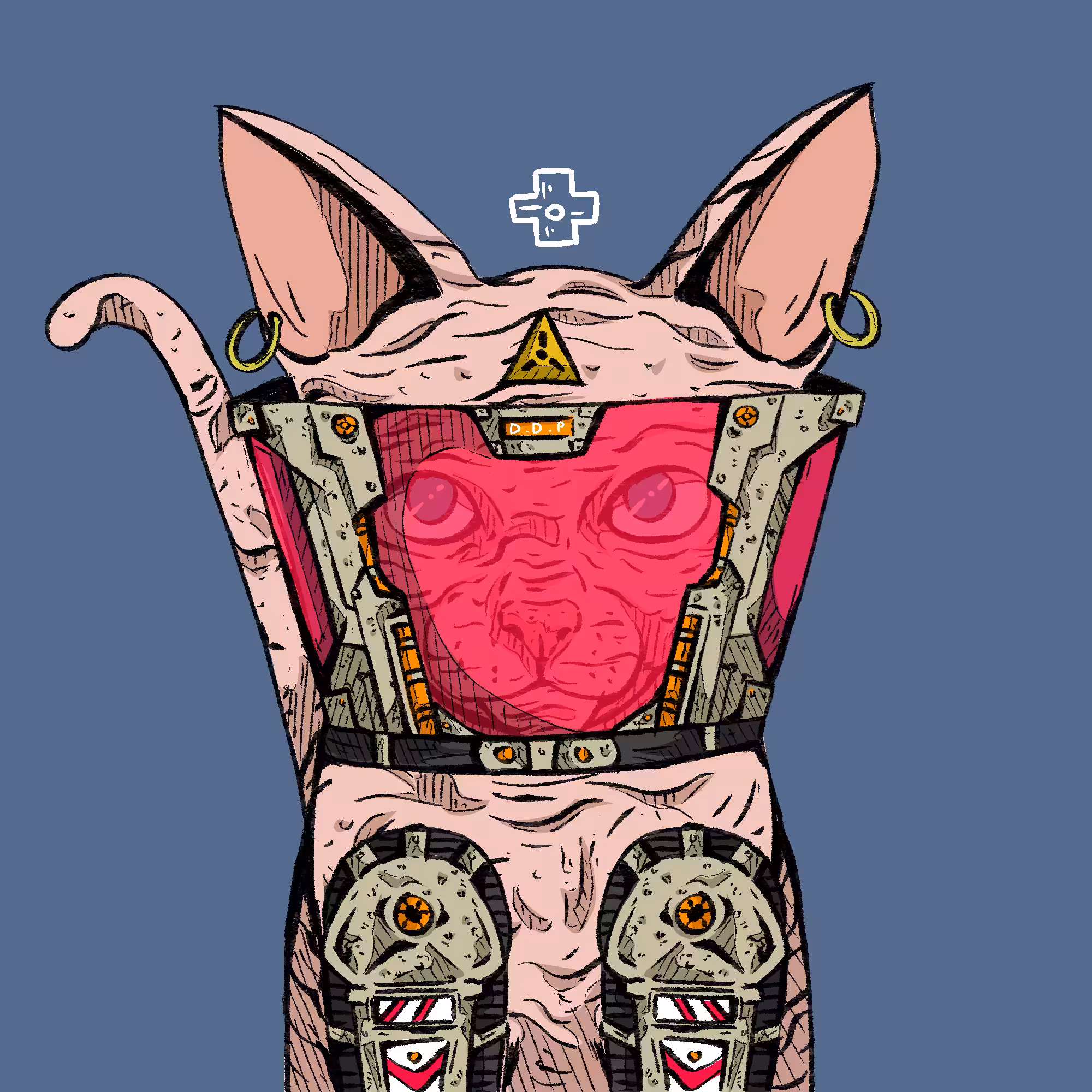DDP#011
