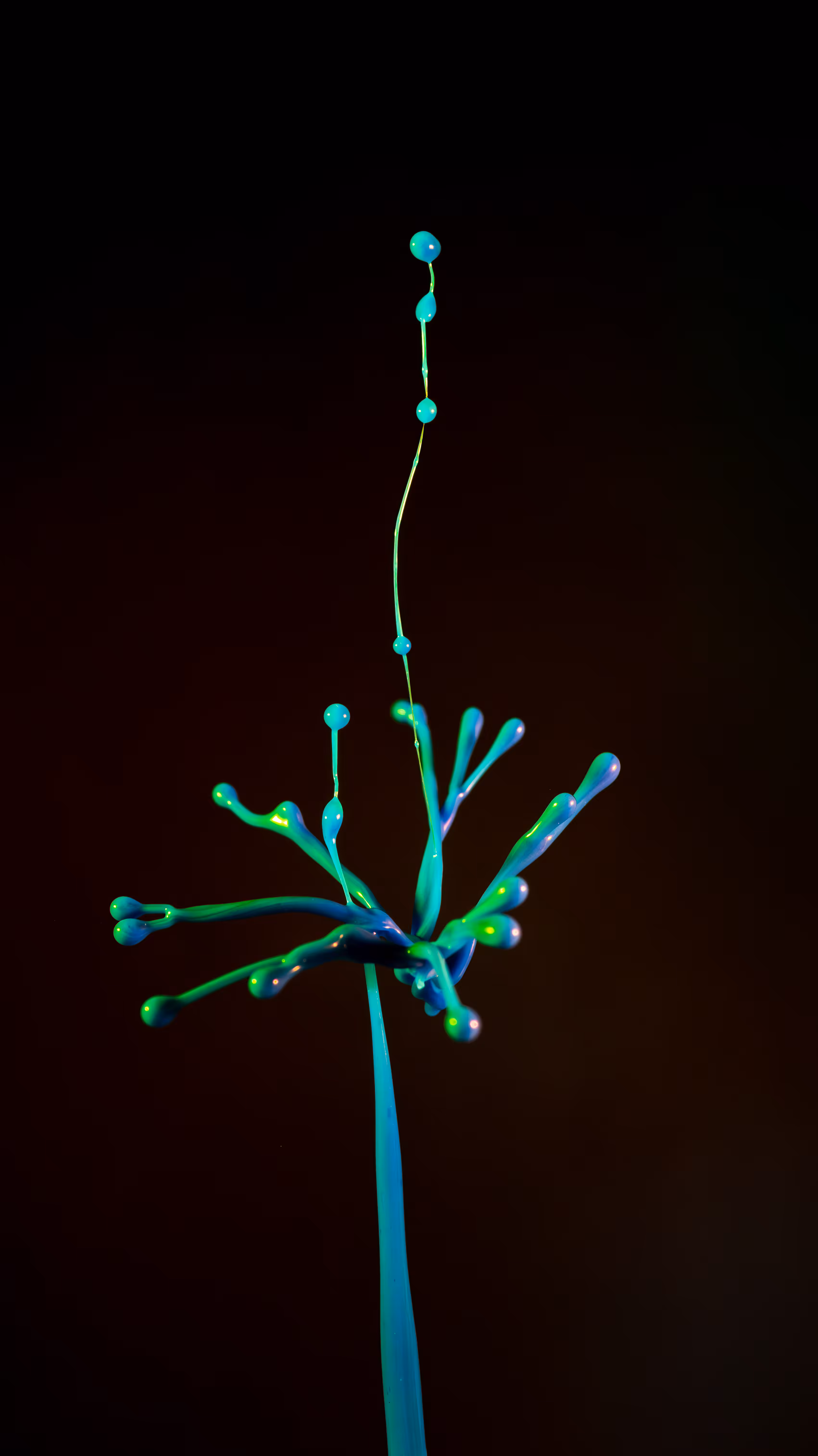 Splash of Colour #2