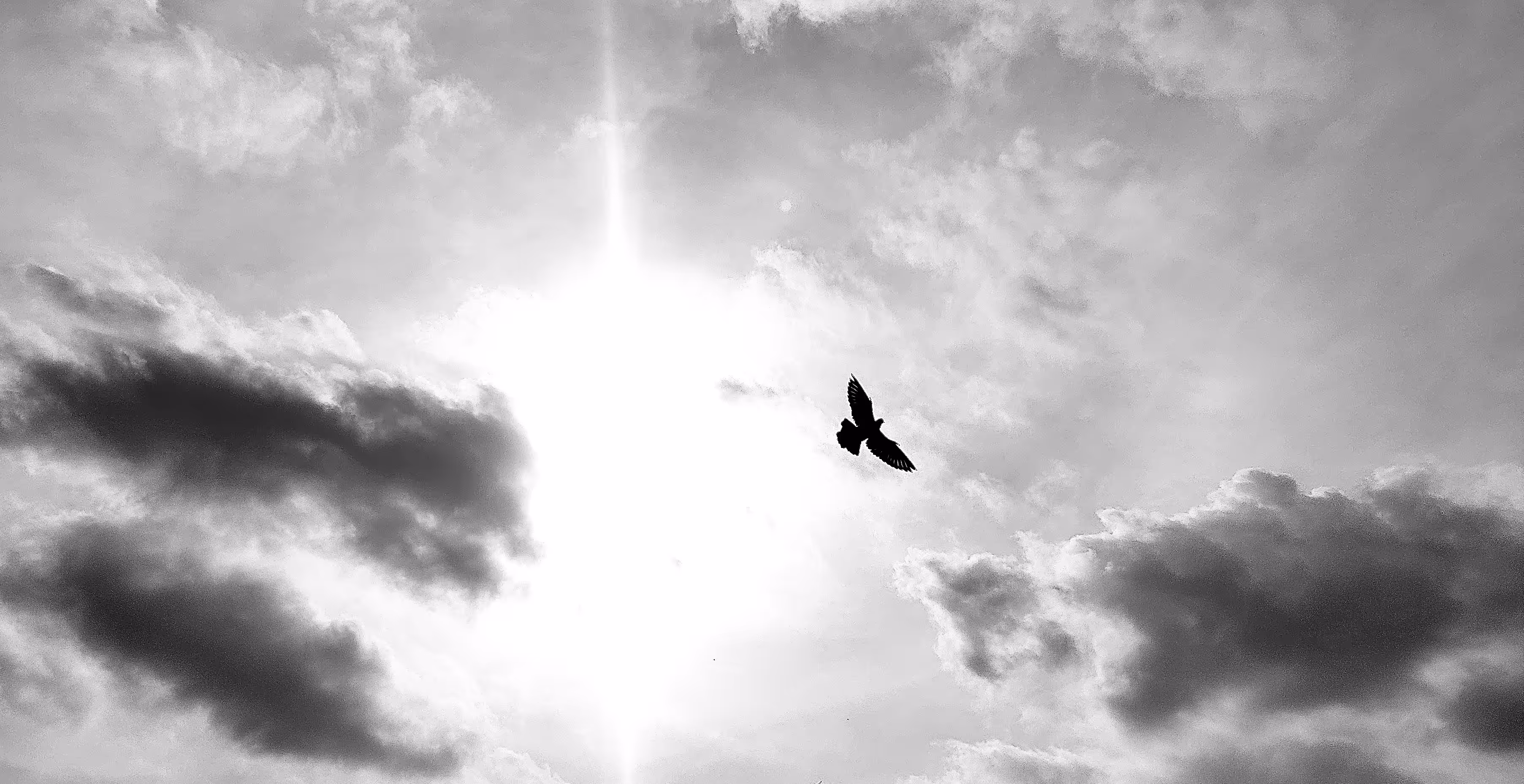 Freedom (आज़ादी)