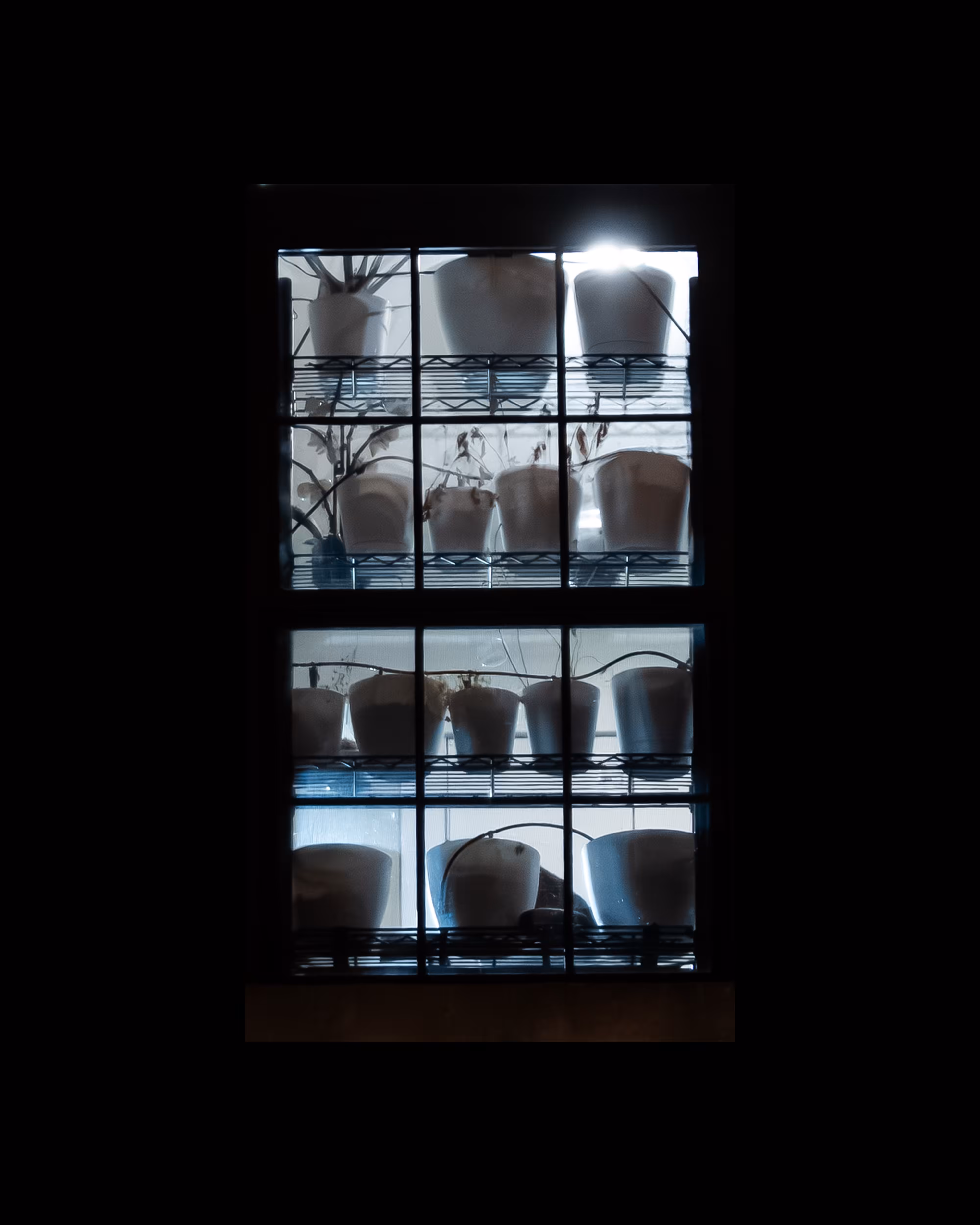 WINDOW 42